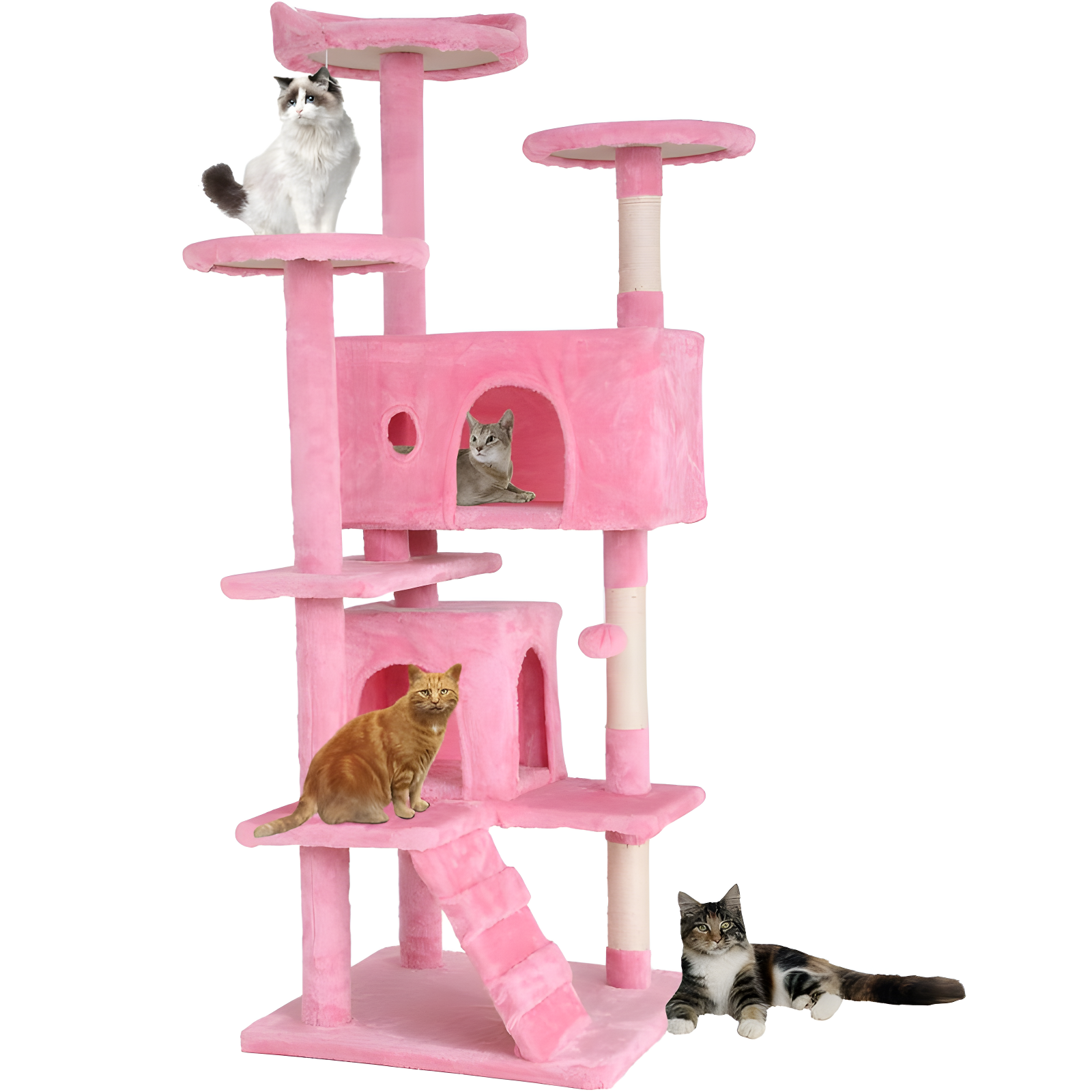Tucker Murphy Pet™ Cat Tree With Large Top Perch, Plush Hammock, Cat Shelves And Dangling Pompom, Cat Scratching Posts And 2 Condos Houses