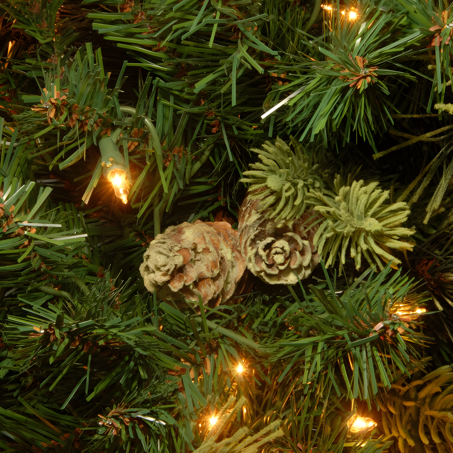 6.5' Prelit Carolina Pine Artificial Christmas Tree Clear Lights - National Tree Company