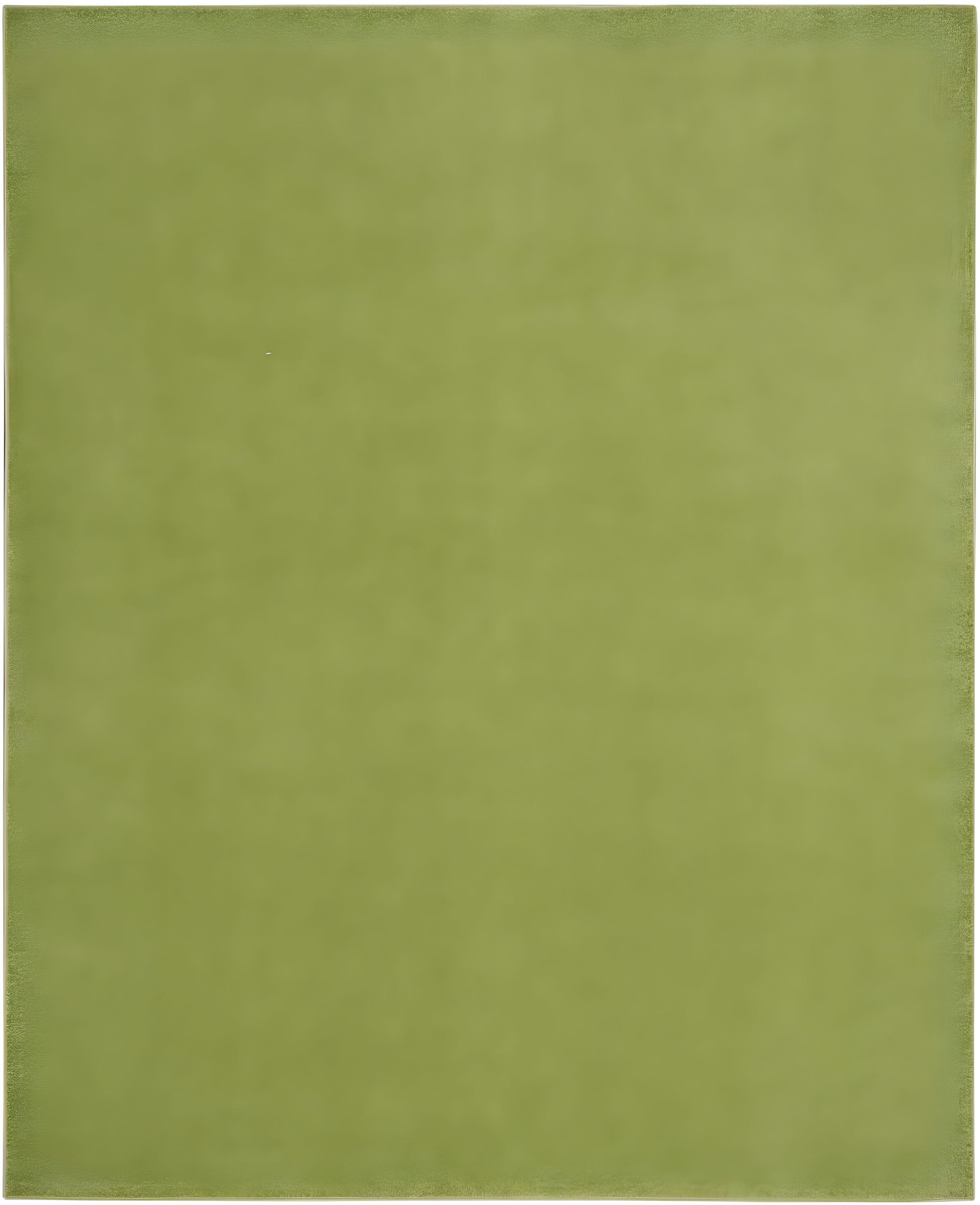 Nourison Nourison Essentials NRE01 Indoor/outdoor Area Rug - Green 9' x 12'