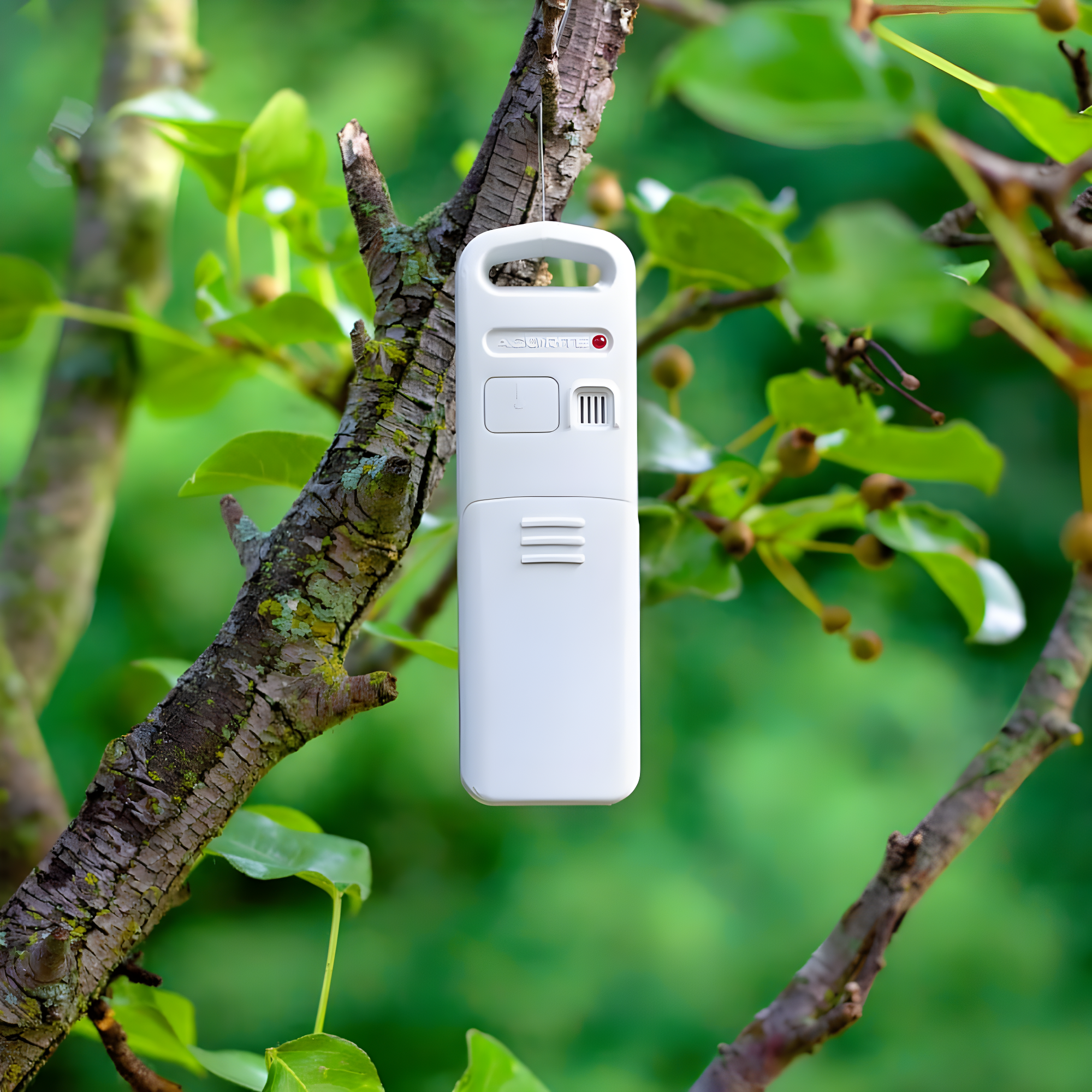 AcuRite Weather Station Forecaster with Color Display for Temperature, Humidity, Hyperlocal Forecast, and Built-In Barometer (02077M) & Reviews | Wayfair