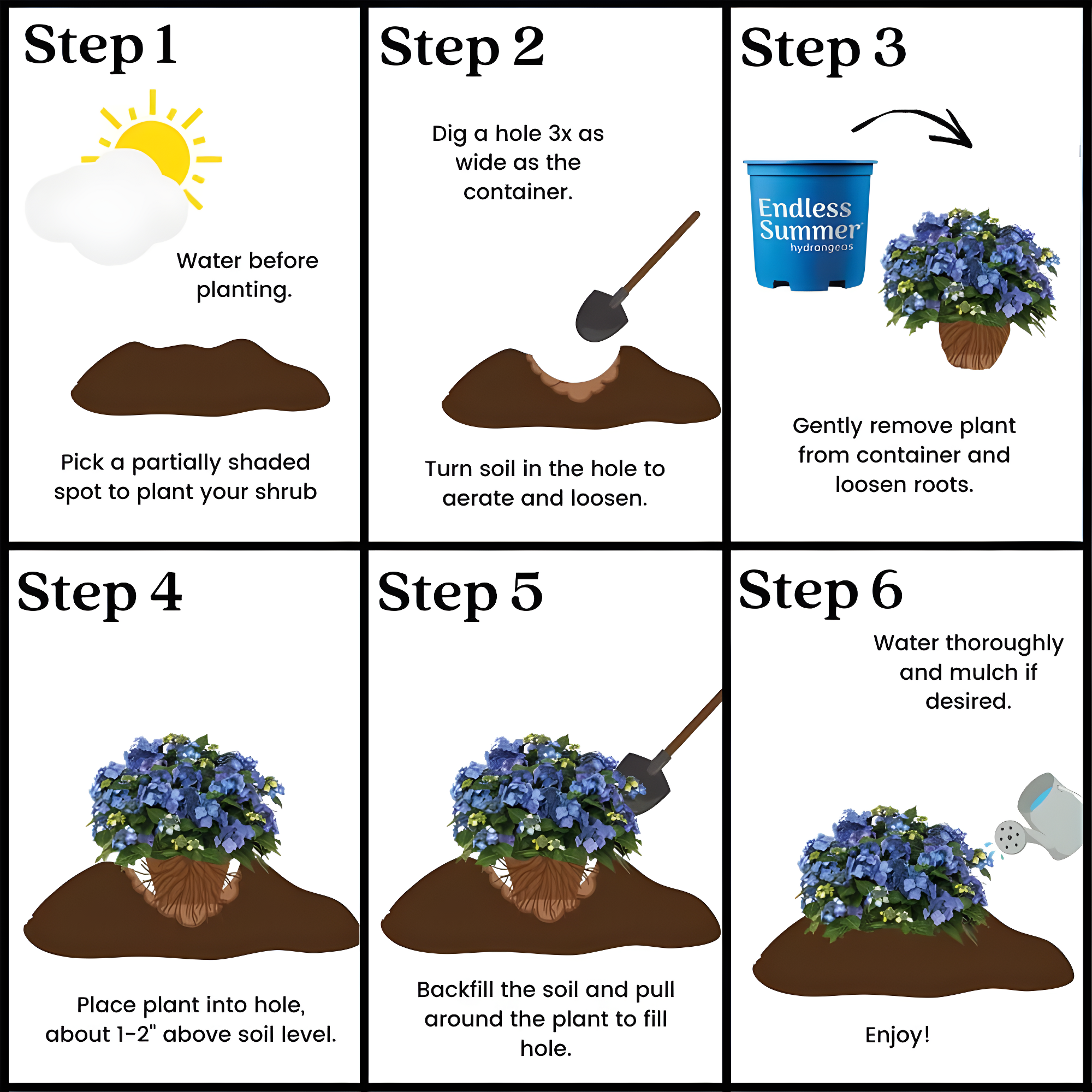 Endless Summer Pop Star Reblooming Hydrangea Live Shrub in 2-Gallon Grower Pot