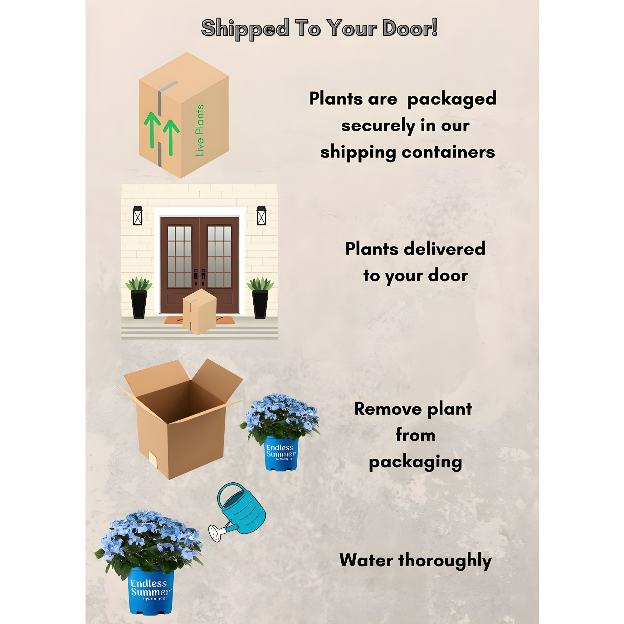 Endless Summer Pop Star Reblooming Hydrangea Live Shrub in 2-Gallon Grower Pot