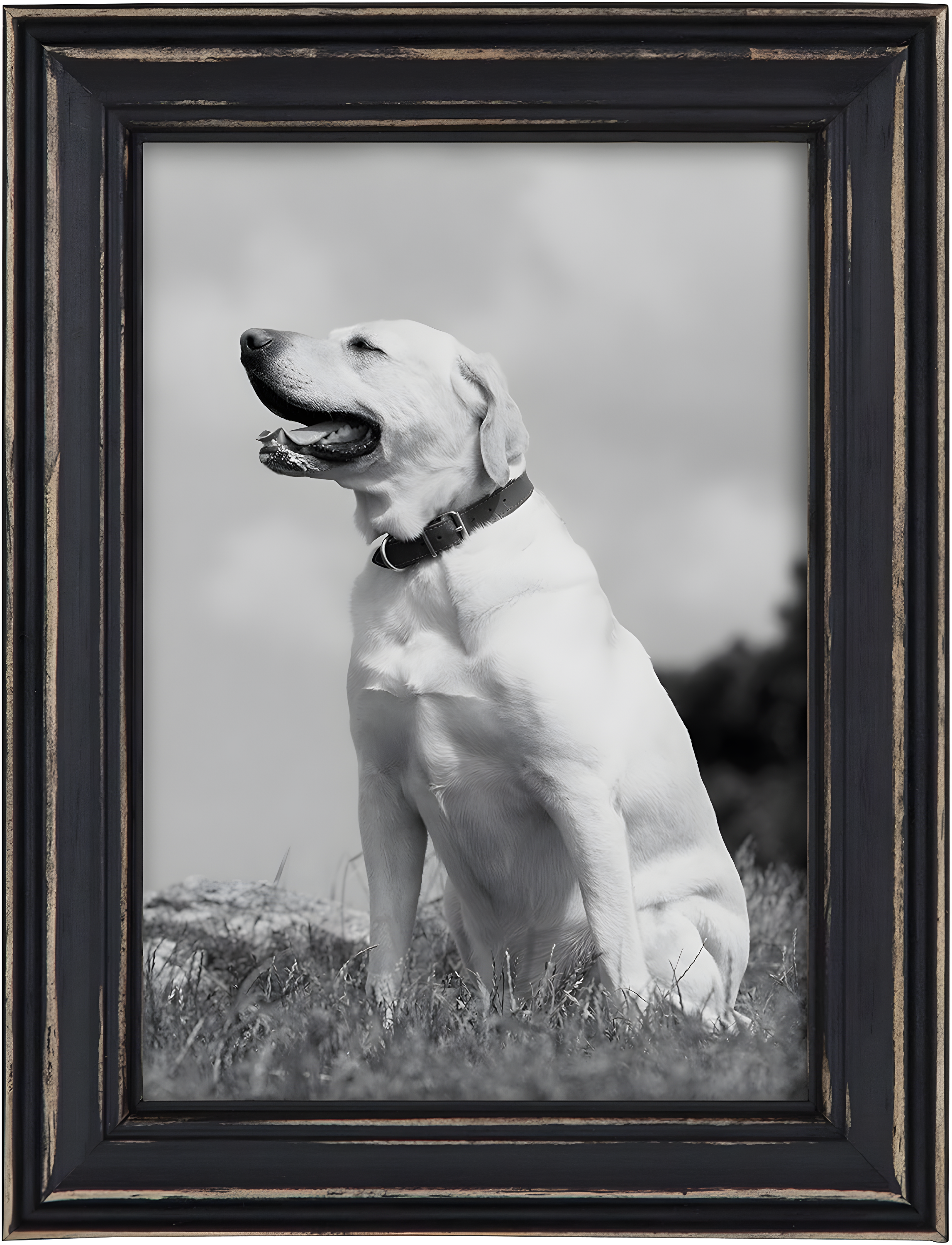 10pc Bordeaux Frame Box Set Black - Kate & Laurel All Things Decor: Wall Display, Modern Style