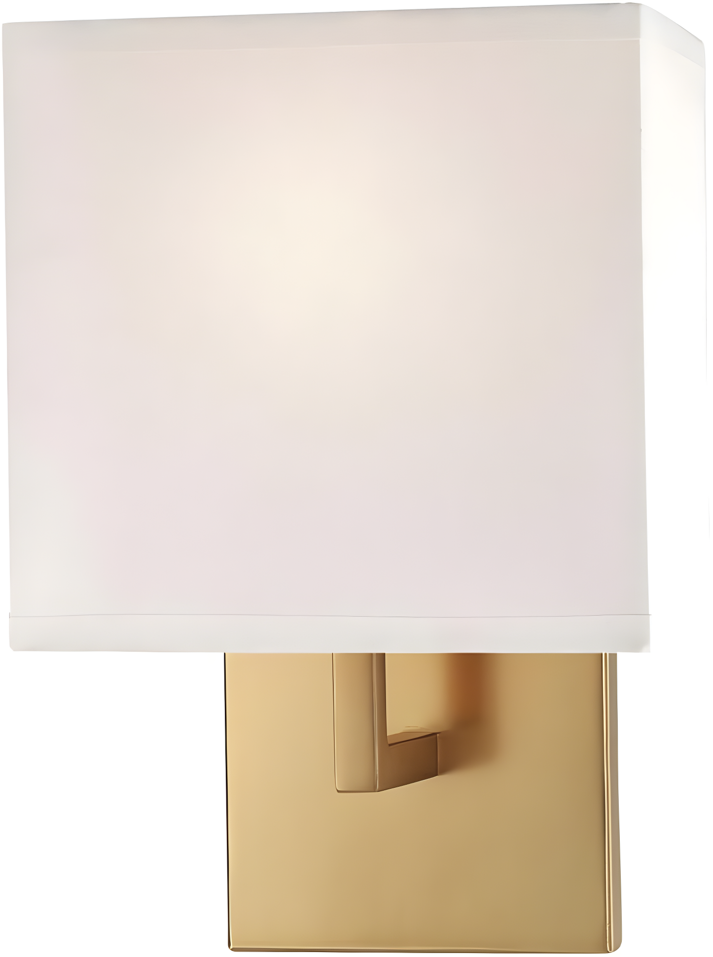 Ivy Bronx Ifrane Steel Armed Sconce