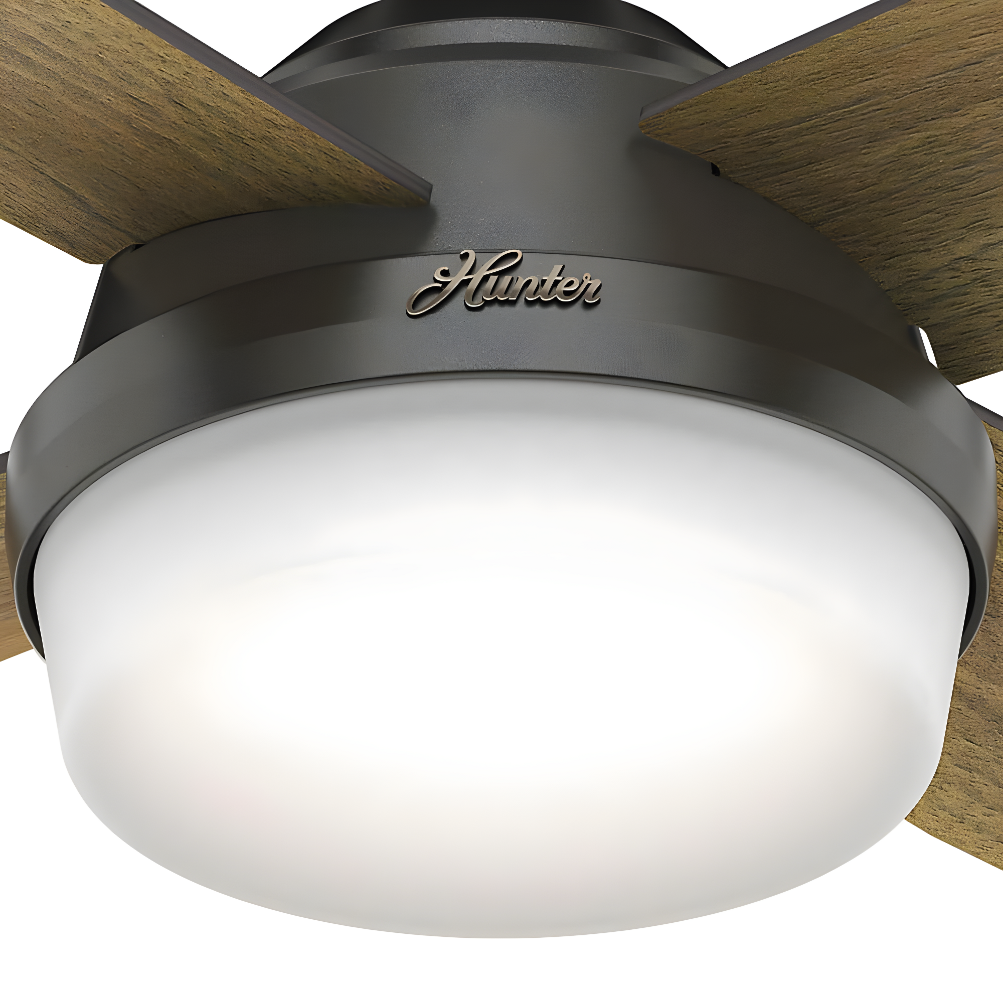 Dempsey 52" 4 - Blade Contemporary Indoor Ceiling Fan with Lights and Remote
