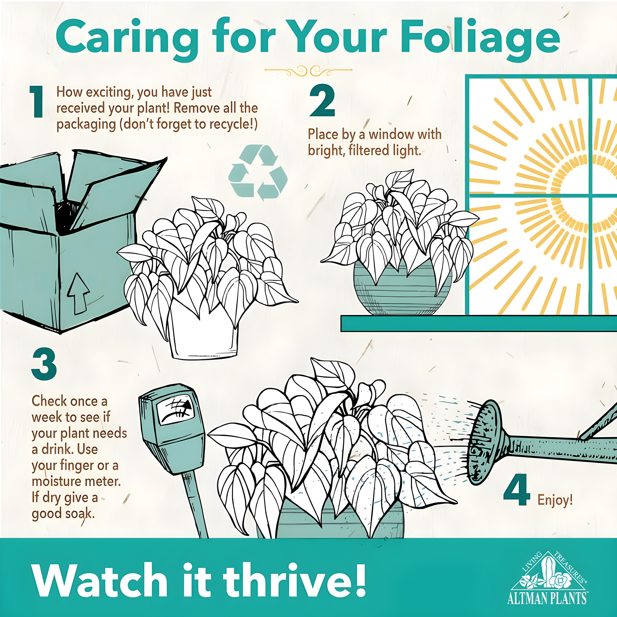 Variegated Ficus Ruby Rubber Tree Plant | 6in Decor Pot; Indirect Light | Element by Altman Plants