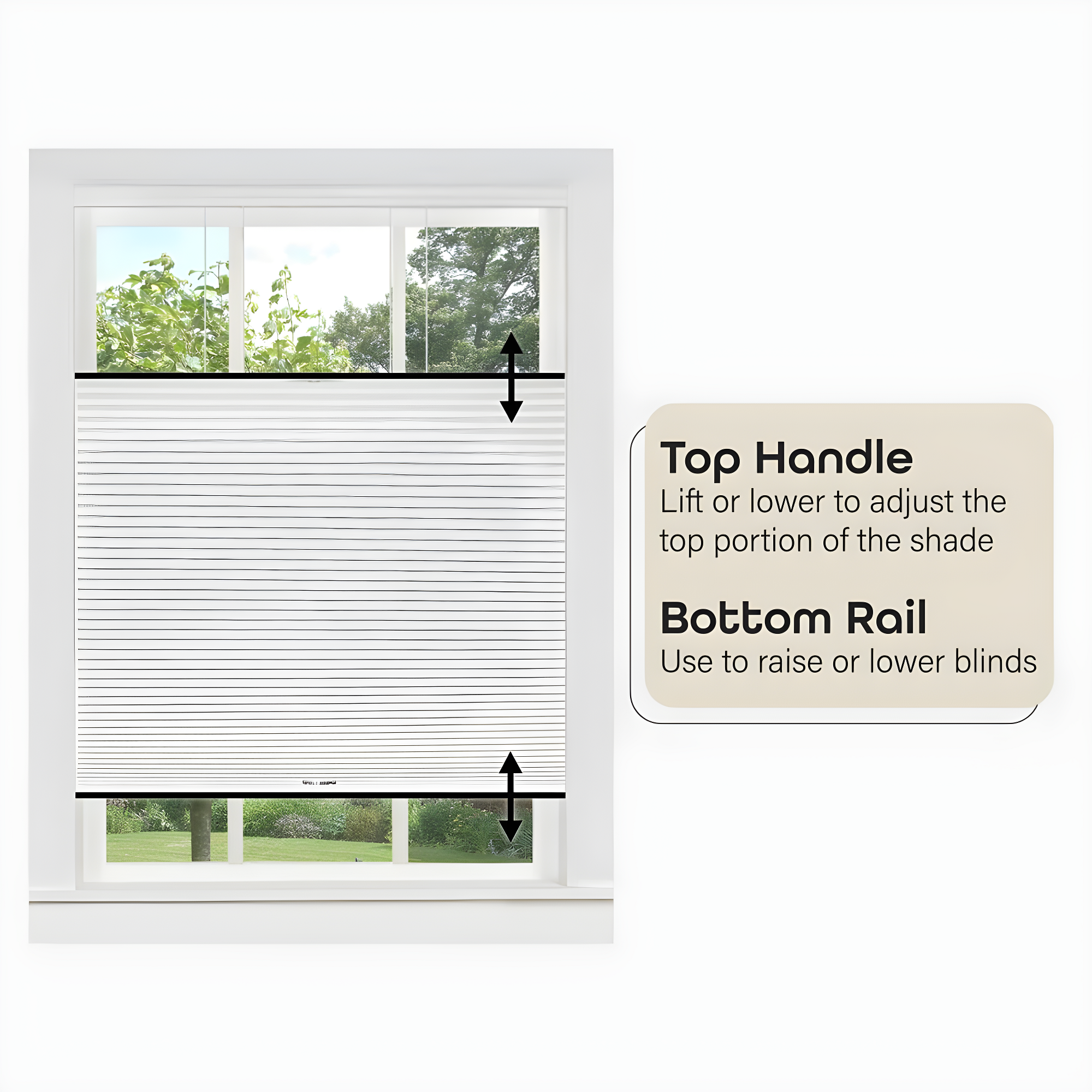 Achim Top Down Bottom Up Indoor Cordless White Polyester Light Filtering Window Cellular Shade, 64" L x 36" W