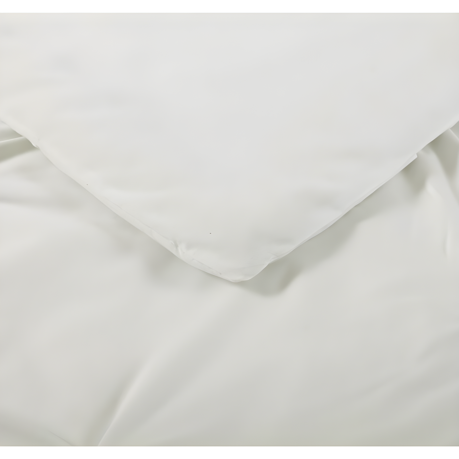Truly Soft Solid Modern & Contemporary Comforter Set