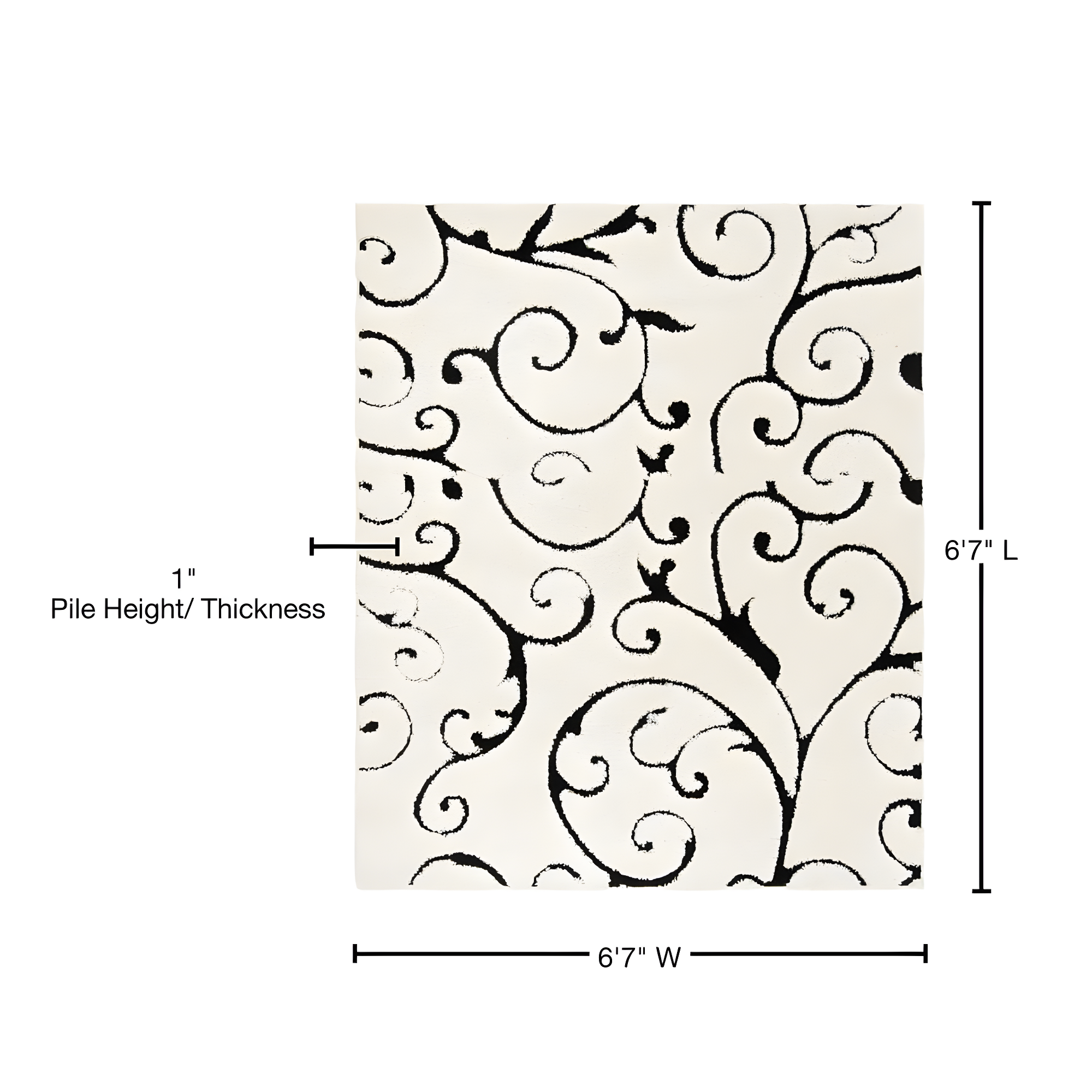 Florida Shag SG455 Power Loomed Indoor Area Rug - Ivory/Black - 6'7"x6'7" - Safavieh.