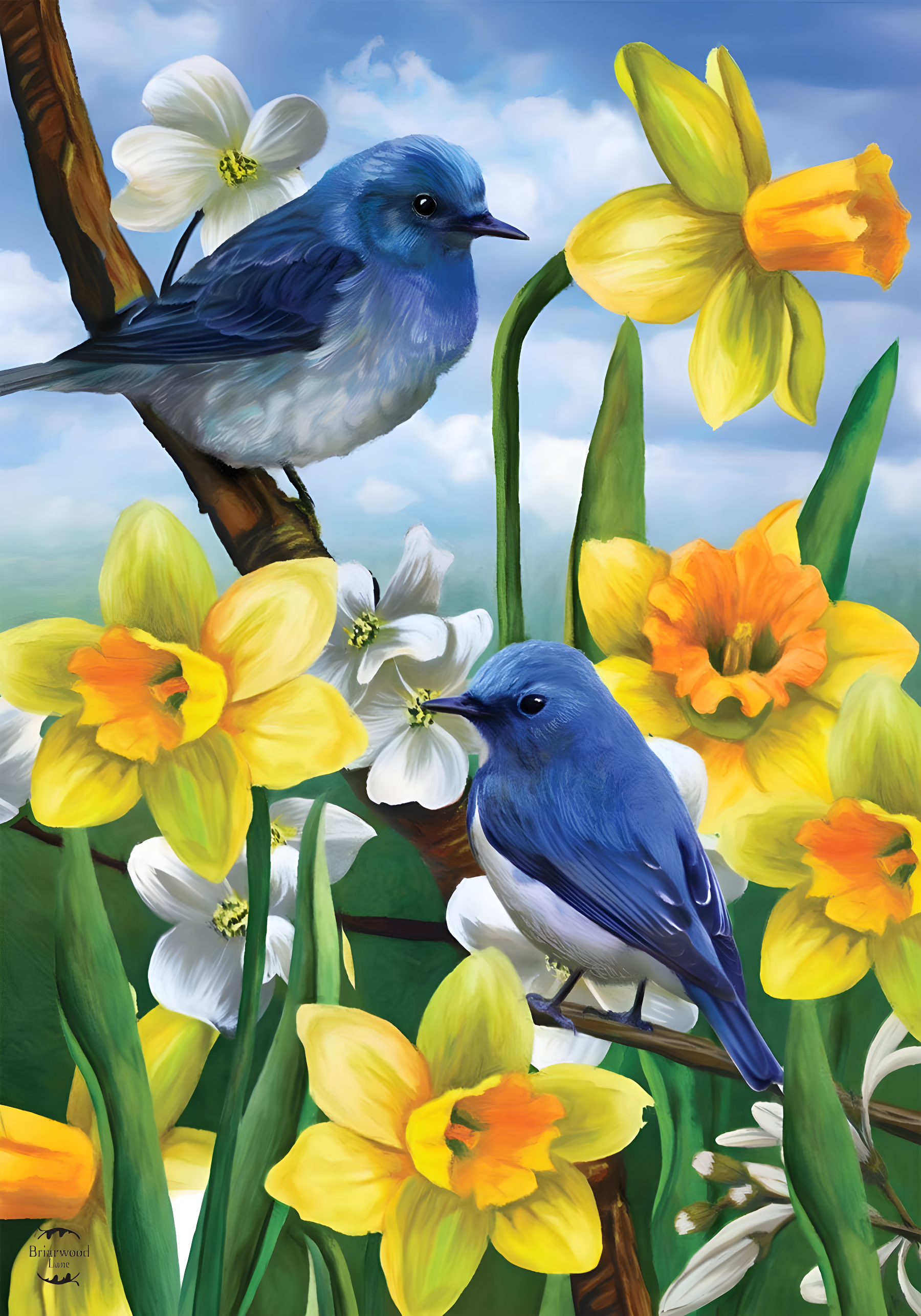 Bluebirds And Daffodils Spring House Flag Floral 28" x 40" Briarwood Lane