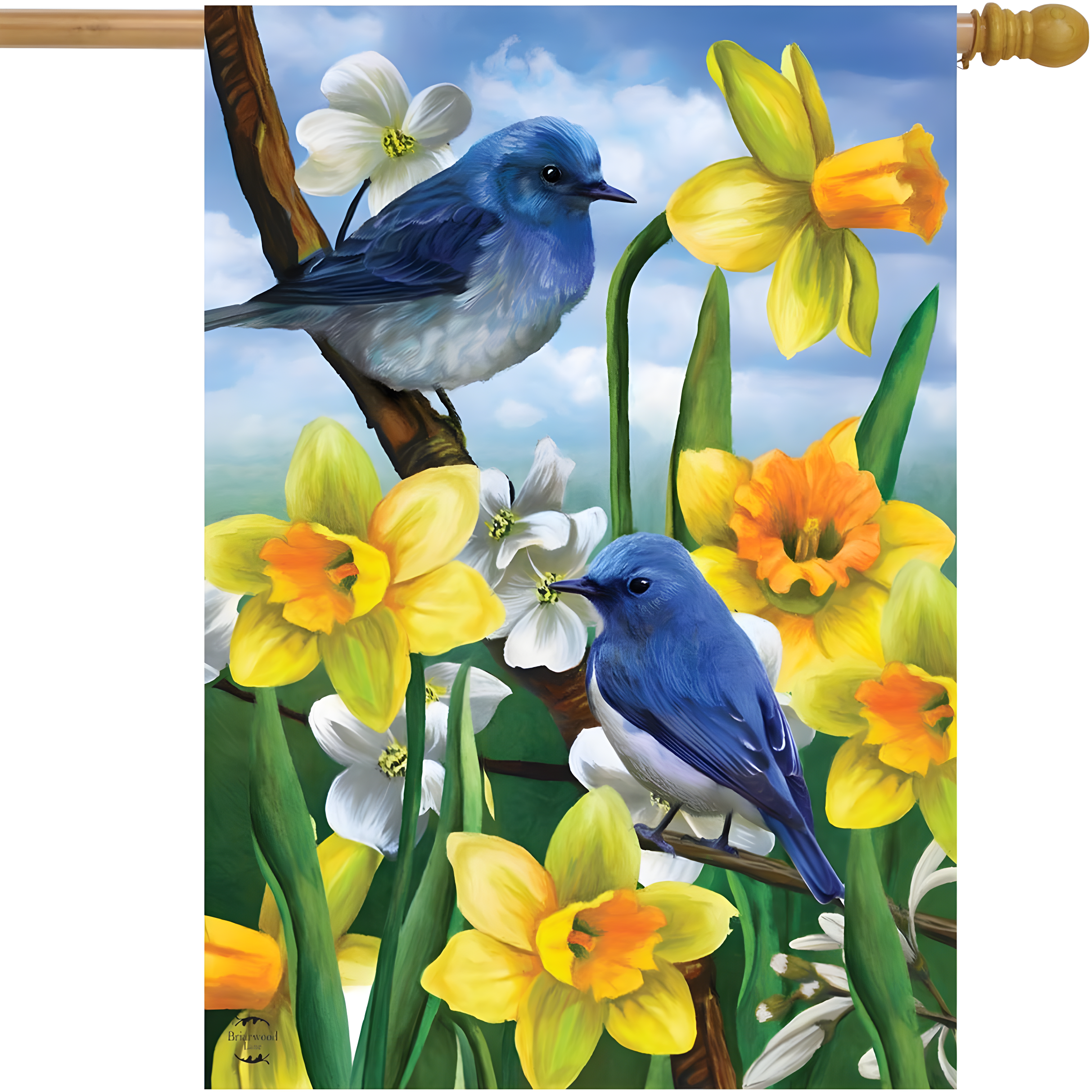 Bluebirds And Daffodils Spring House Flag Floral 28" x 40" Briarwood Lane