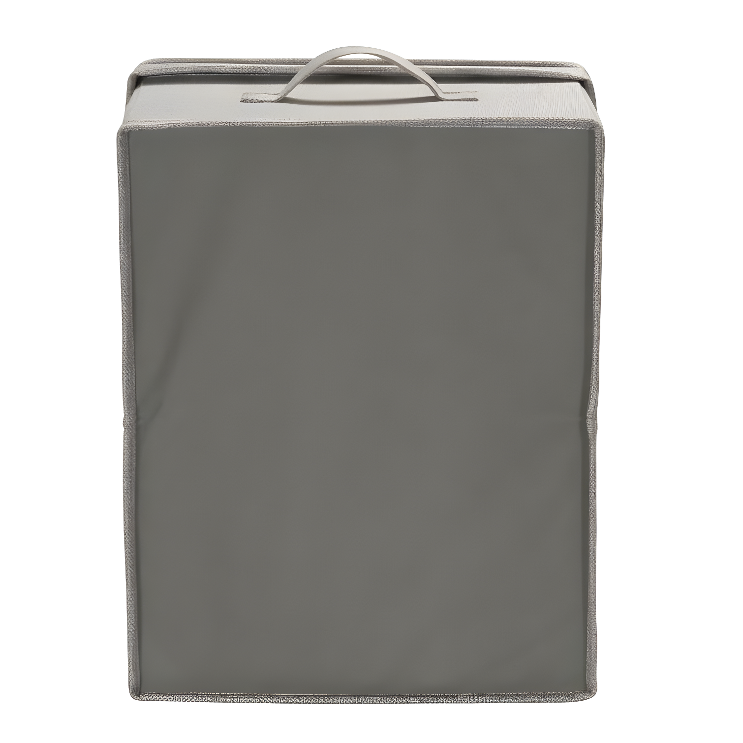 Household Essentials Fabric Bin (Set of 2)