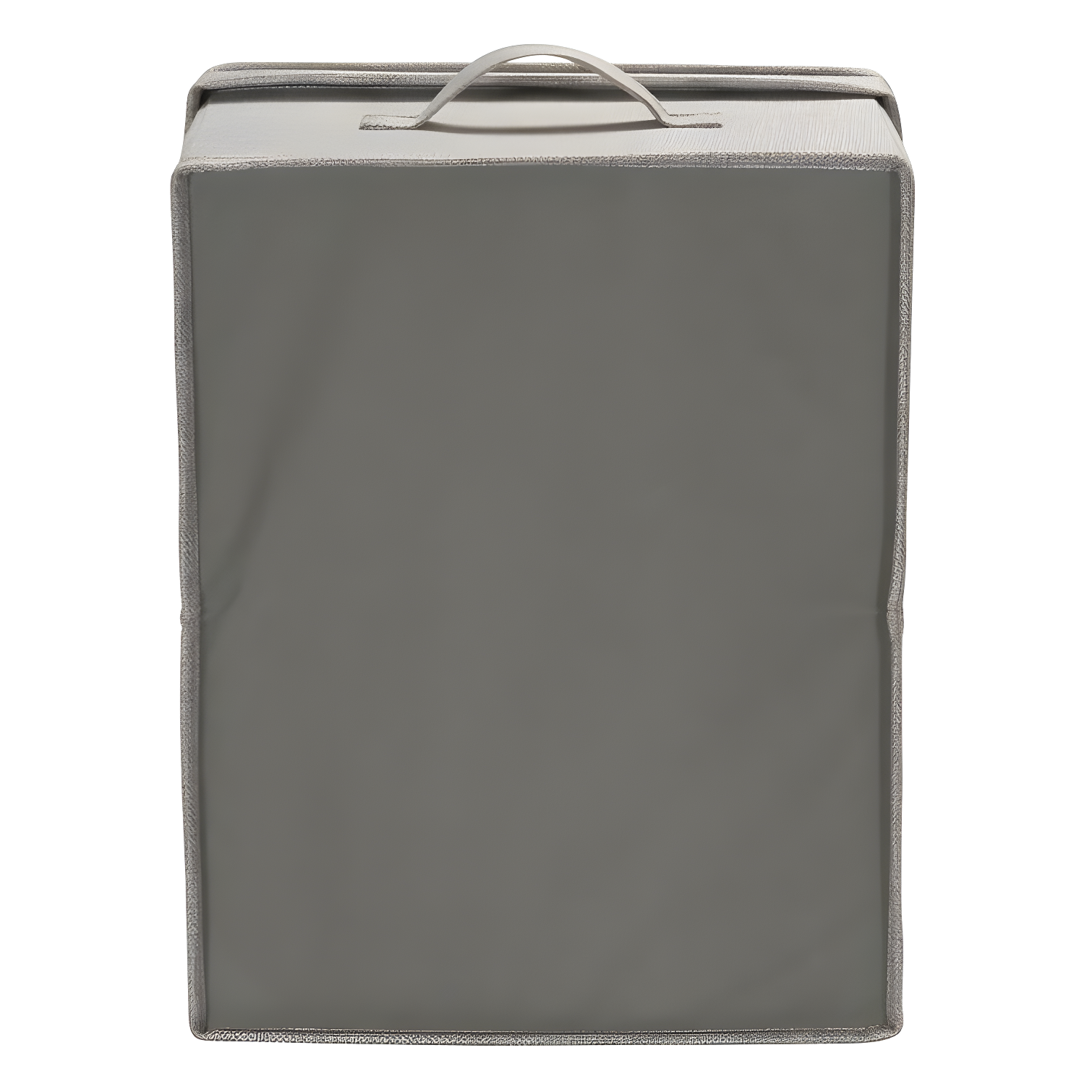 Household Essentials Fabric Bin (Set of 2)
