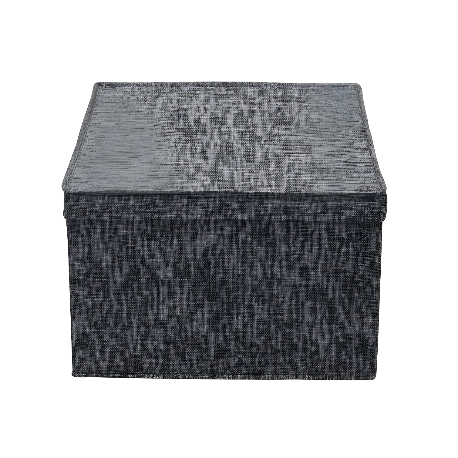Household Essentials Fabric Bin (Set of 2)