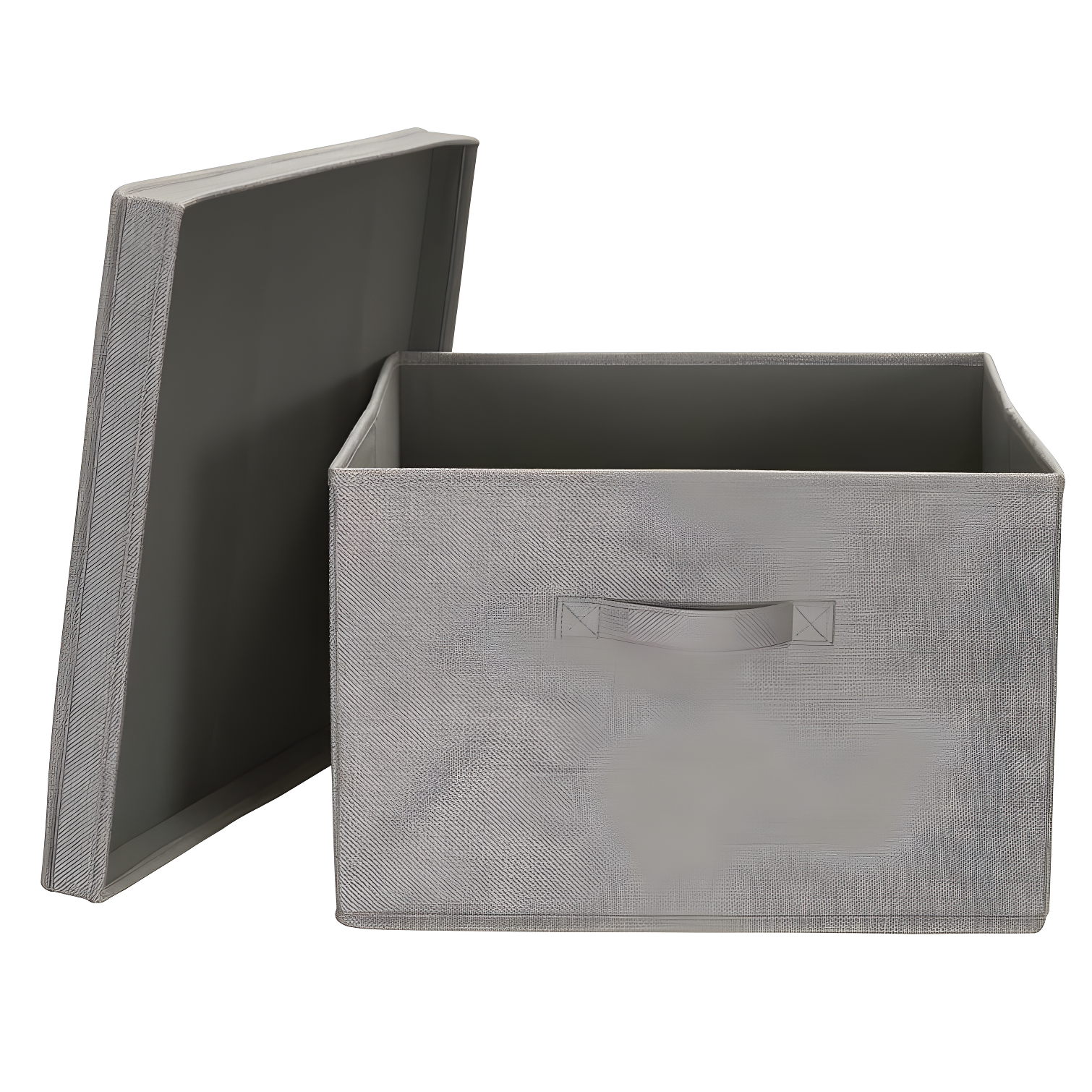 Household Essentials Fabric Bin (Set of 2)