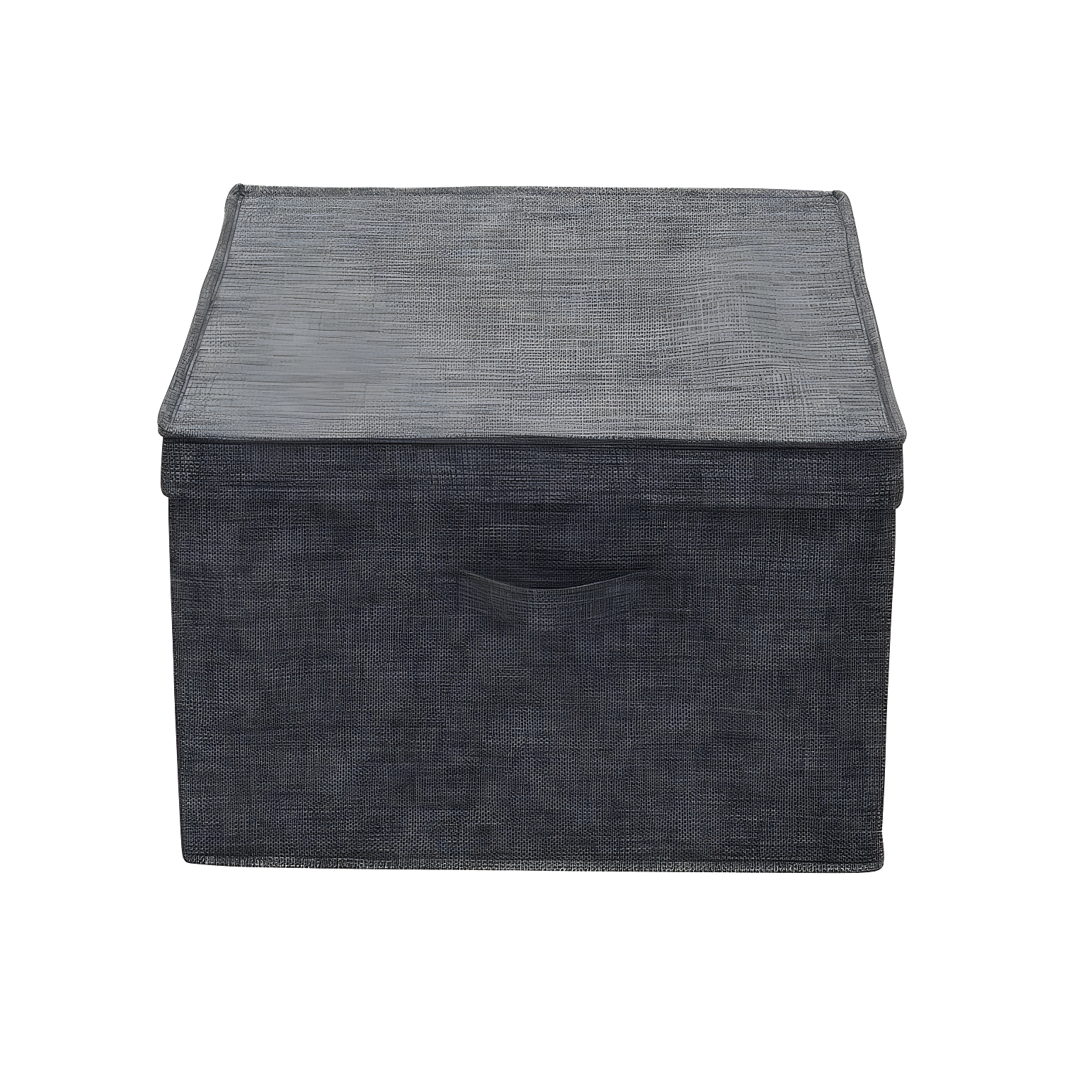 Household Essentials Fabric Bin (Set of 2)