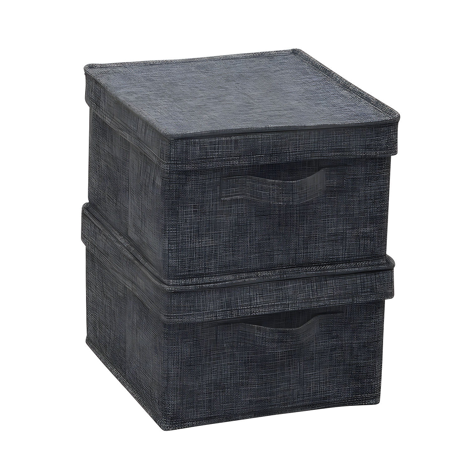 Household Essentials Fabric Bin (Set of 2)
