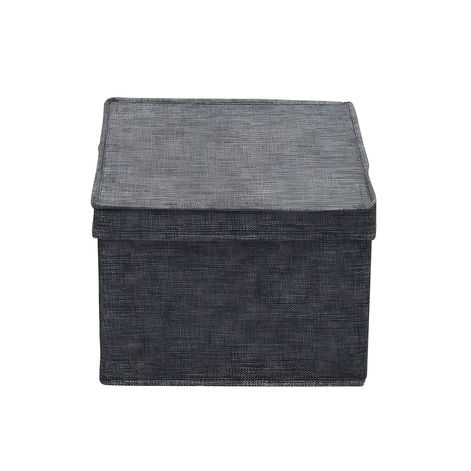 Household Essentials Fabric Bin (Set of 2)