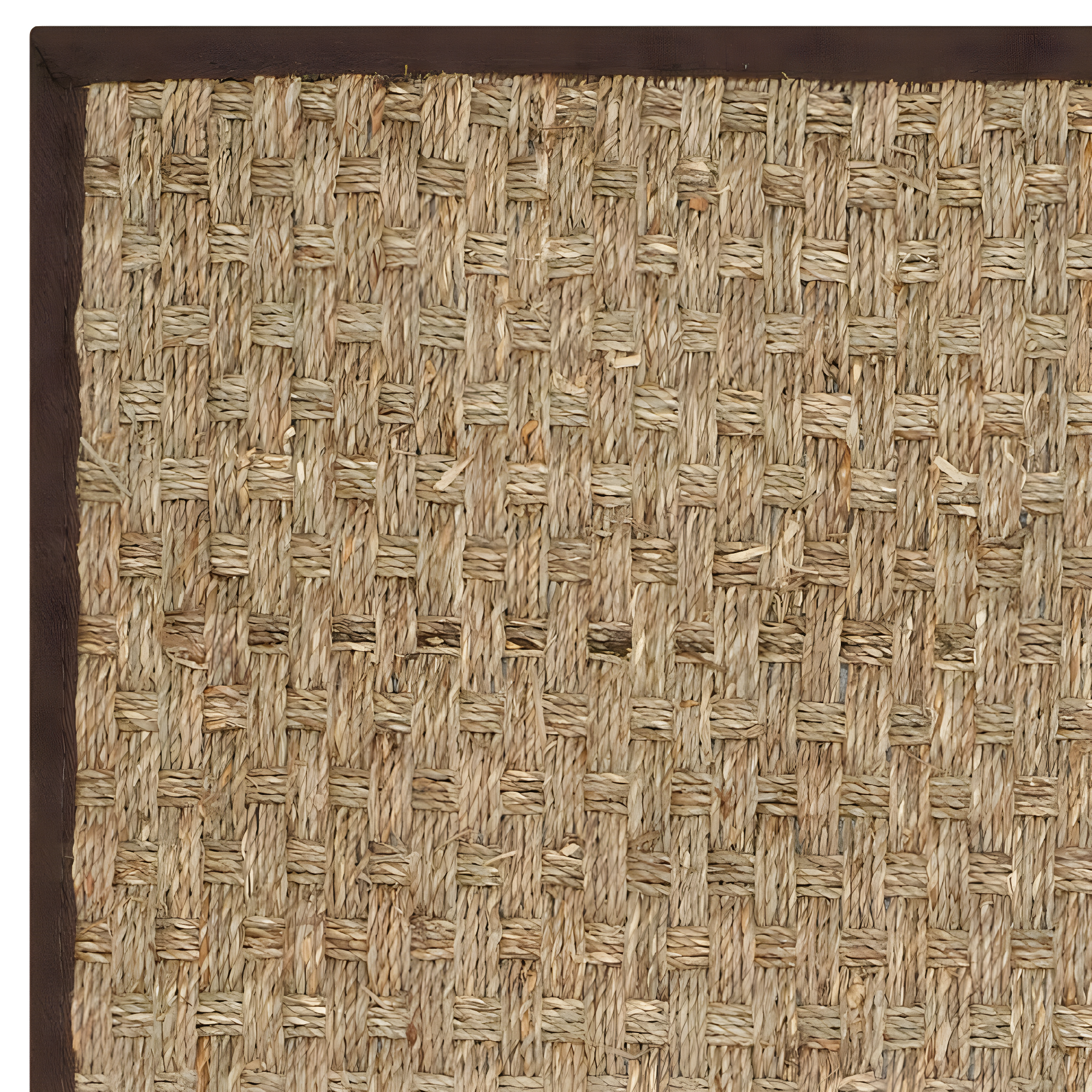Natural Fiber NF114 Power Loomed Indoor Accent Rug - Natural/Dark Brown - 3'x5' - Safavieh
