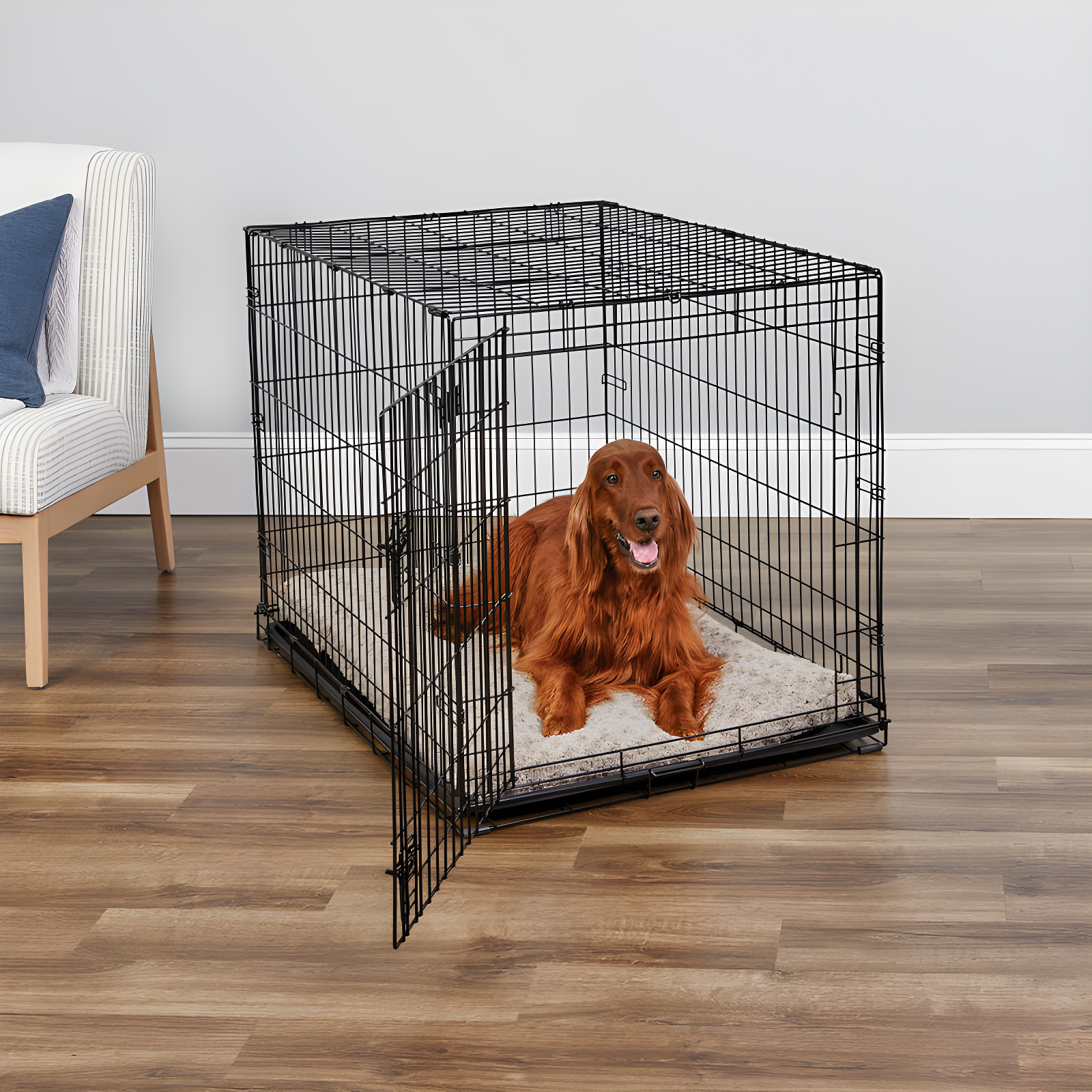 MidWest Homes for Pets Newly Enhanced Single Door iCrate Dog Crate Includes Divider Panel