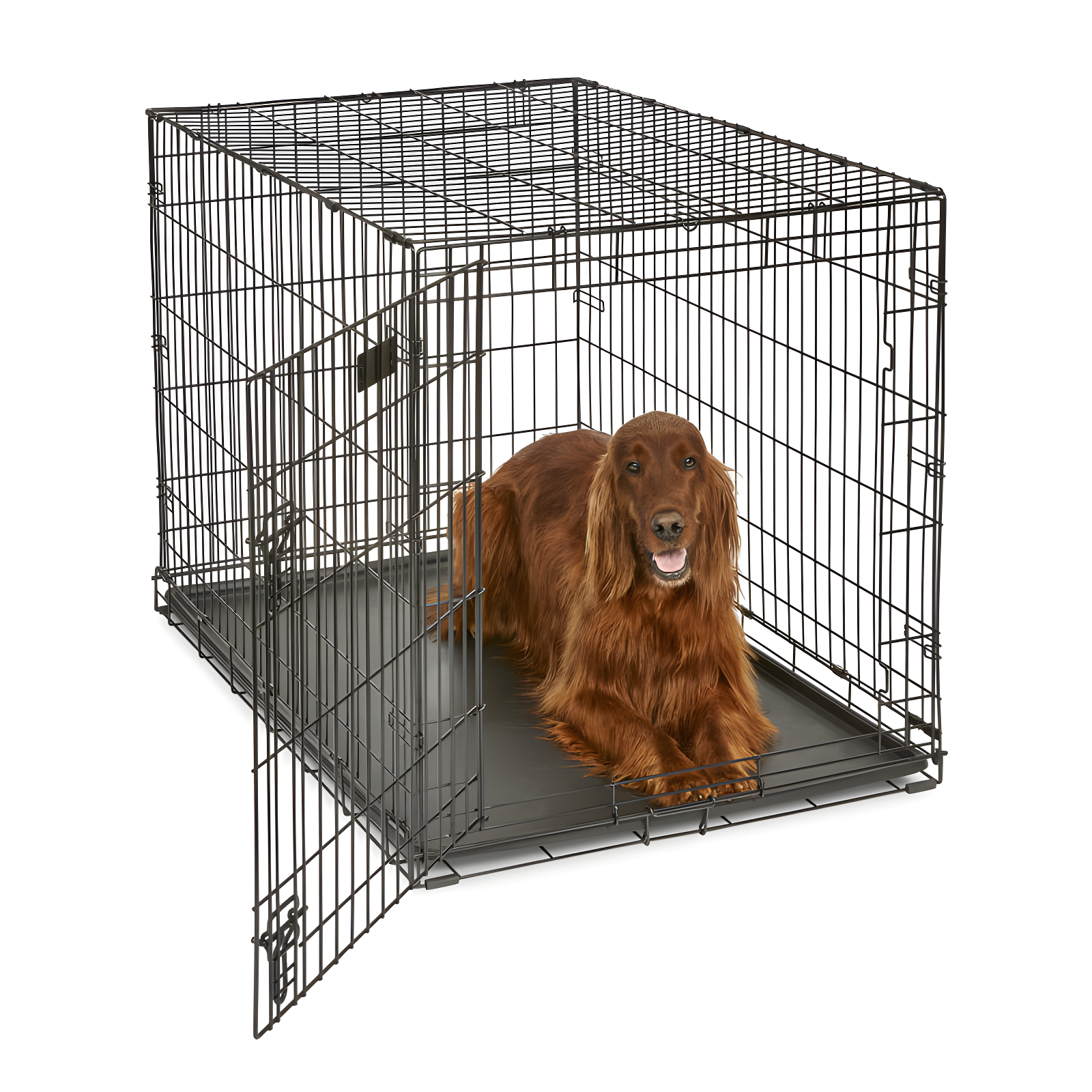 MidWest Homes for Pets Newly Enhanced Single Door iCrate Dog Crate Includes Divider Panel