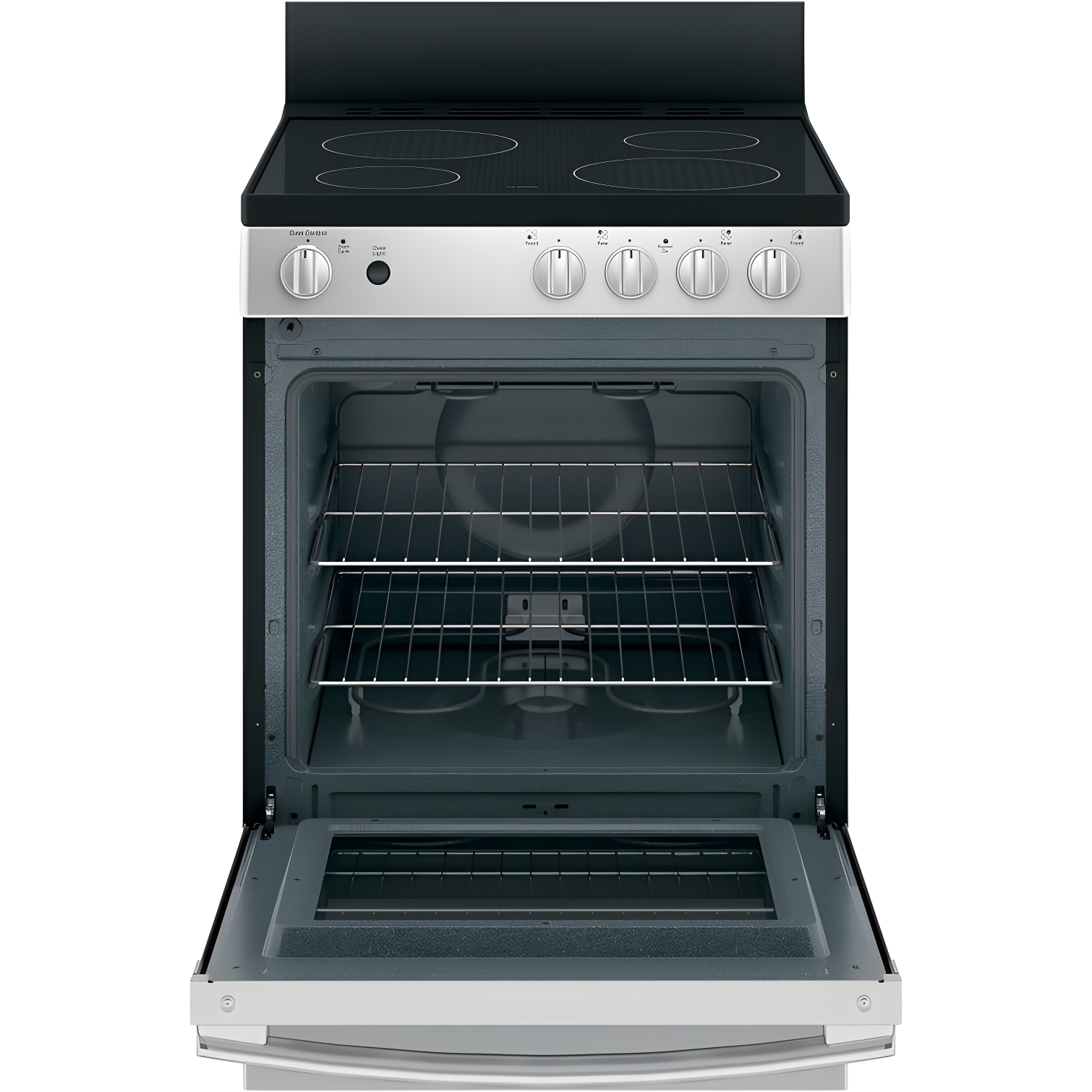 24" 2.9 Cu. Ft. Freestanding Electric Range with Modular Backguard