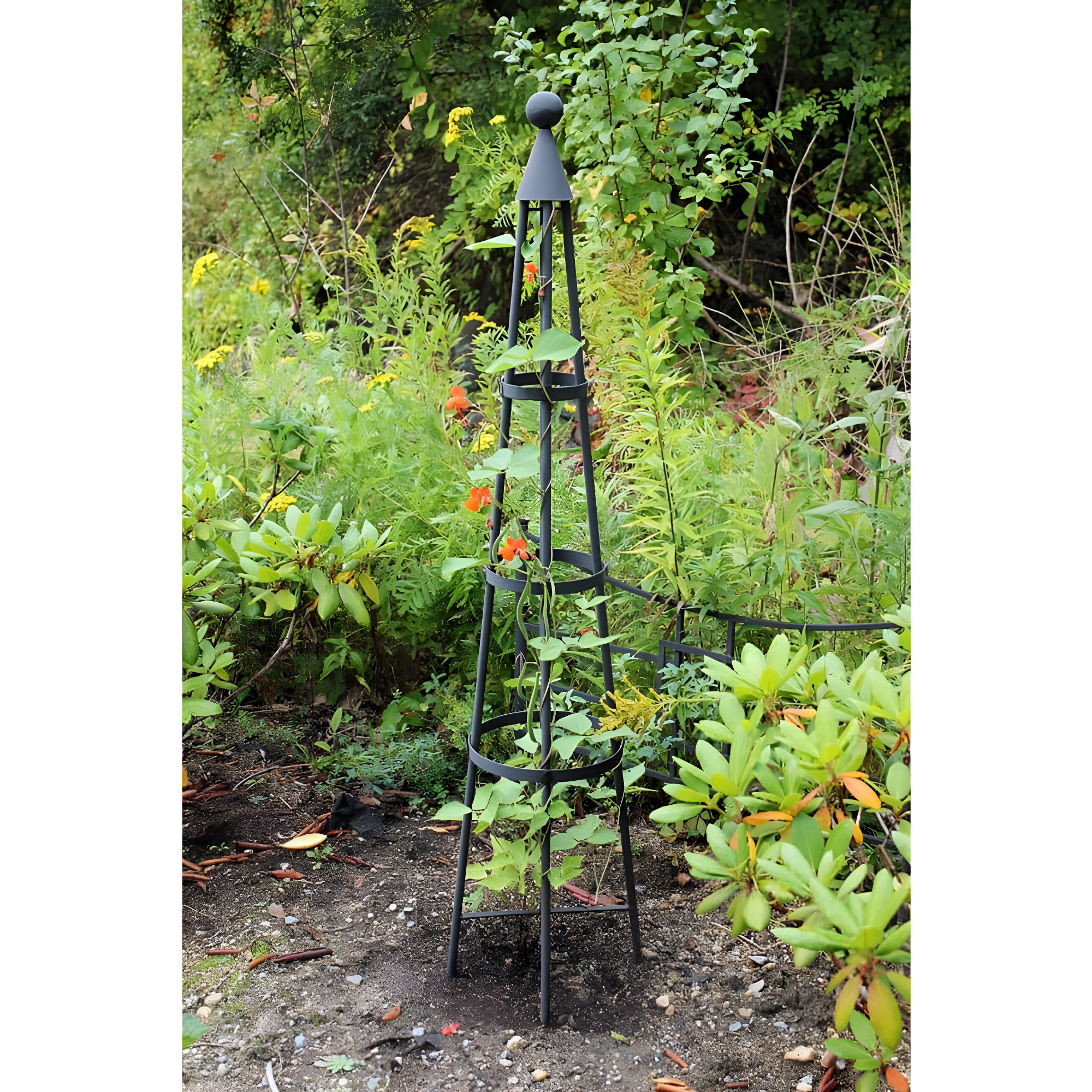 60" Tall Iron Obelisk Garden Trellis Graphite Powder Coat Finish - Achla Designs