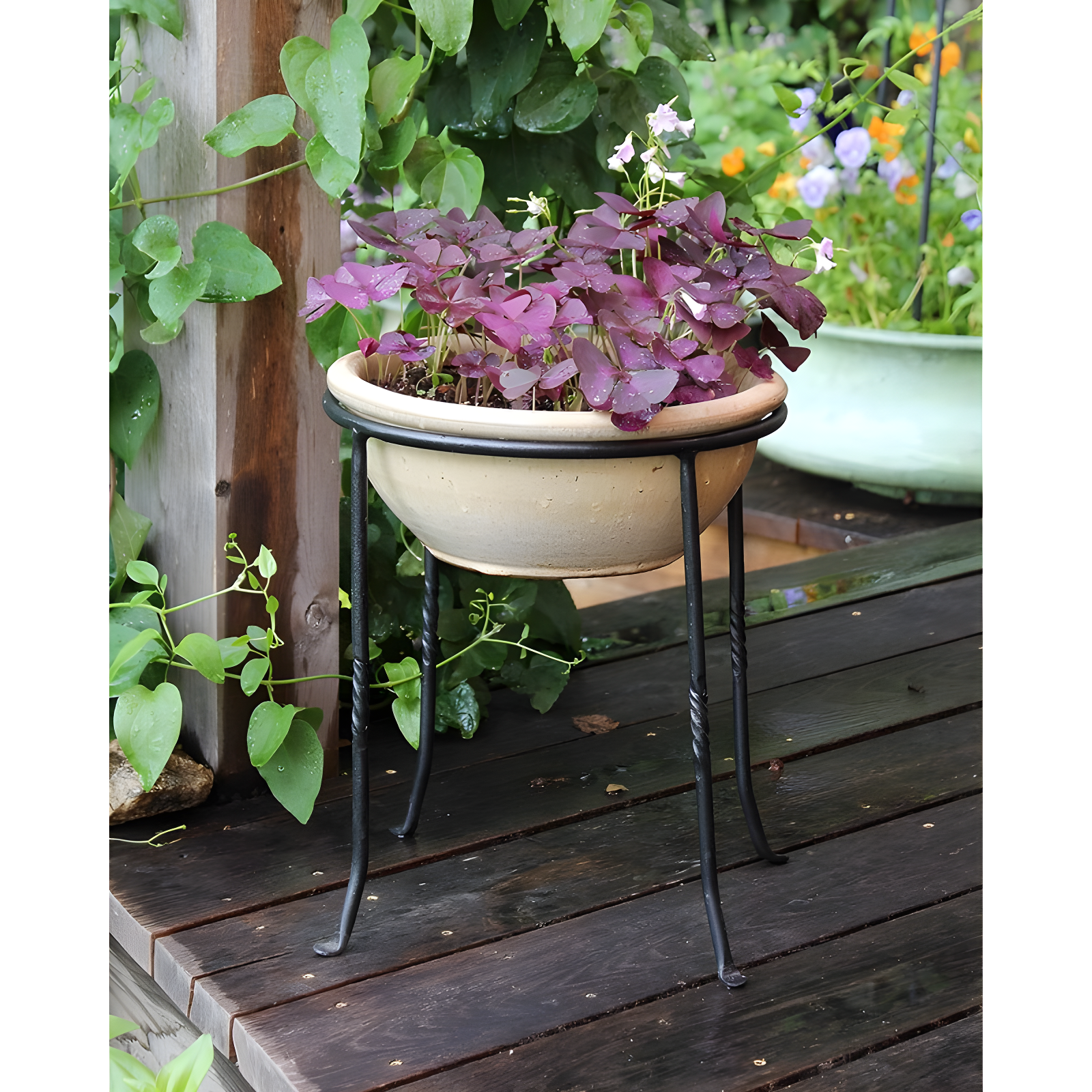 Winston Porter Drumnasole Iron Pedestal Birdbath