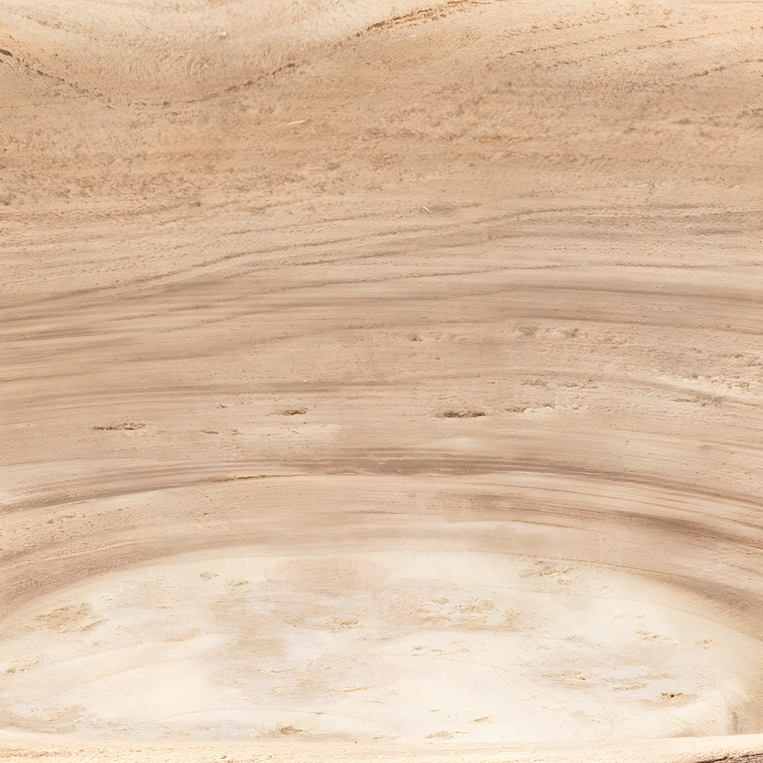 Sada Wooden Bowl - Large