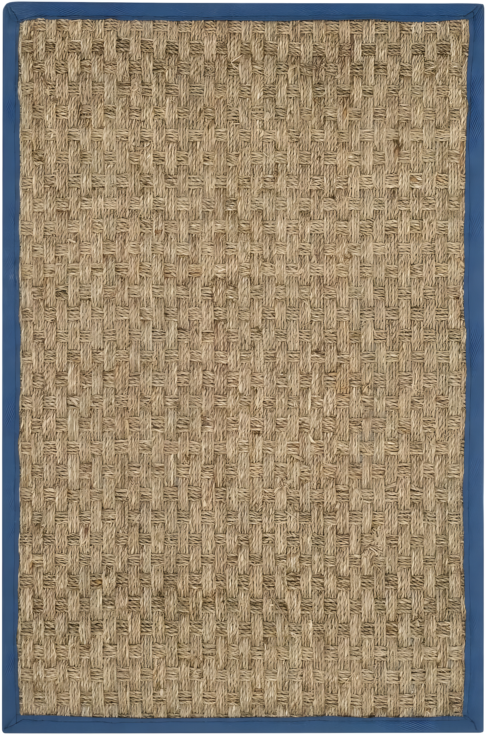 Natural Fiber NF114 Power Loomed Accent Rug - Natural/Navy - 2'3"x4' - Safavieh.