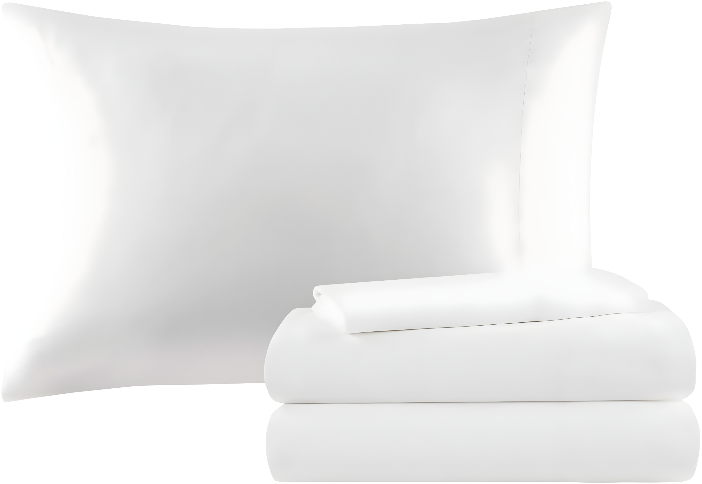Madison Park Emilia 12 Piece Jacquard Comforter Set with Bed Sheets