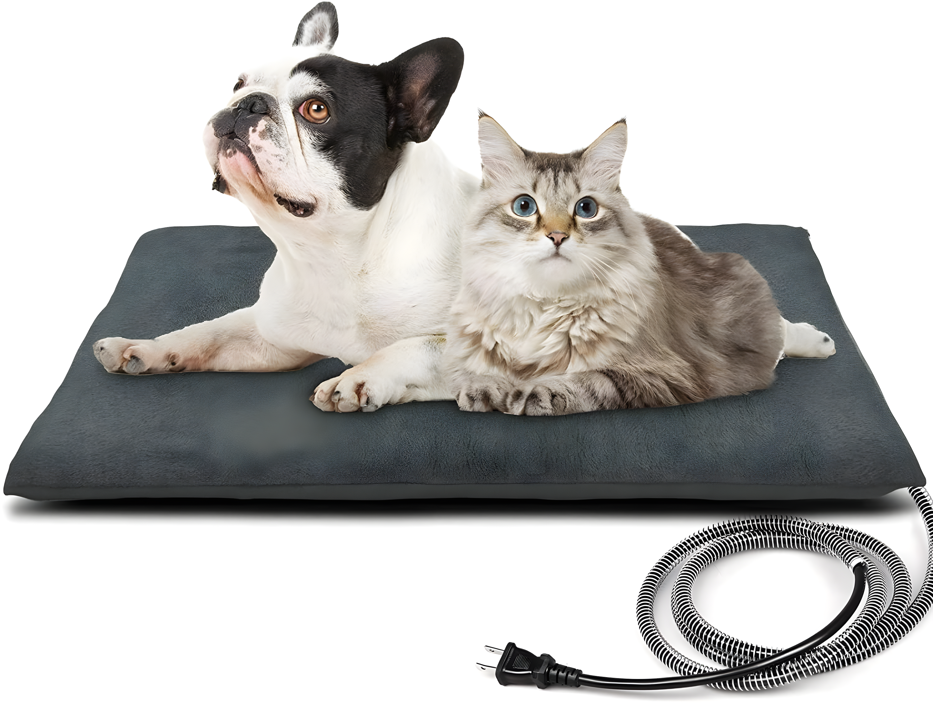 Velvet Pet Bed Accessory