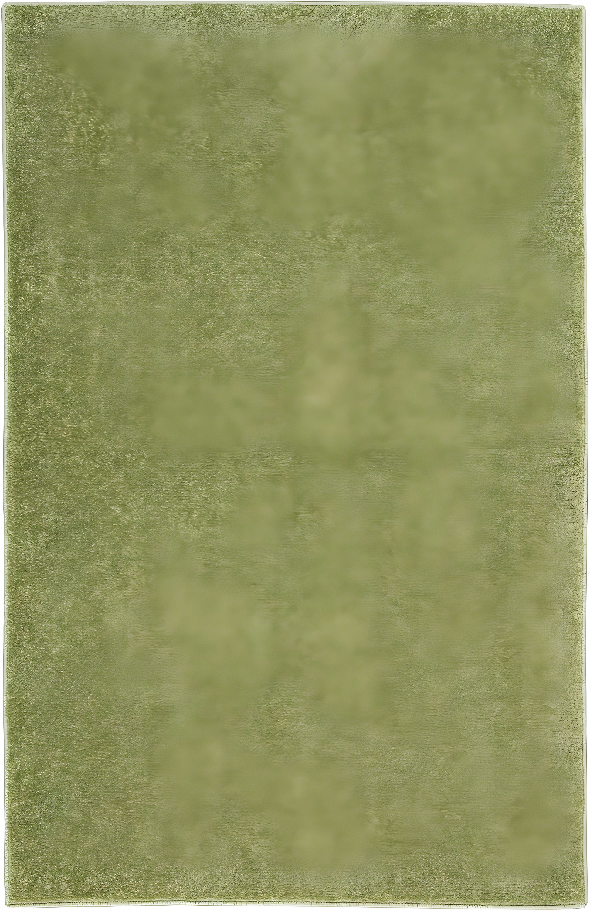 Nourison Nourison Essentials NRE01 Indoor/outdoor Area Rug - Green 2' x 4'