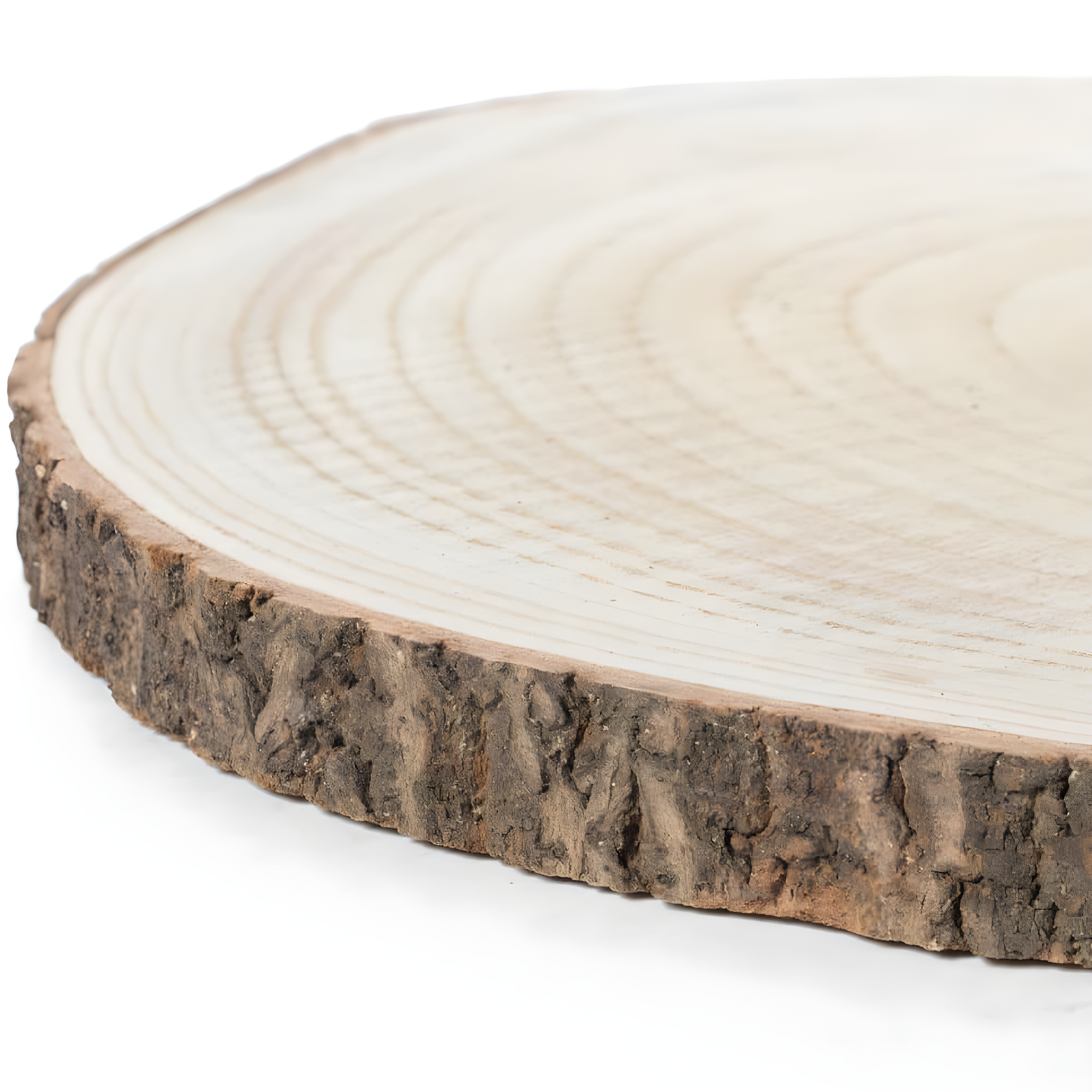 Vintiquewise Barky Natural Wood Slabs Rustic Ornament Slice Tray Table Charger - Approximately 18 Inch Dia