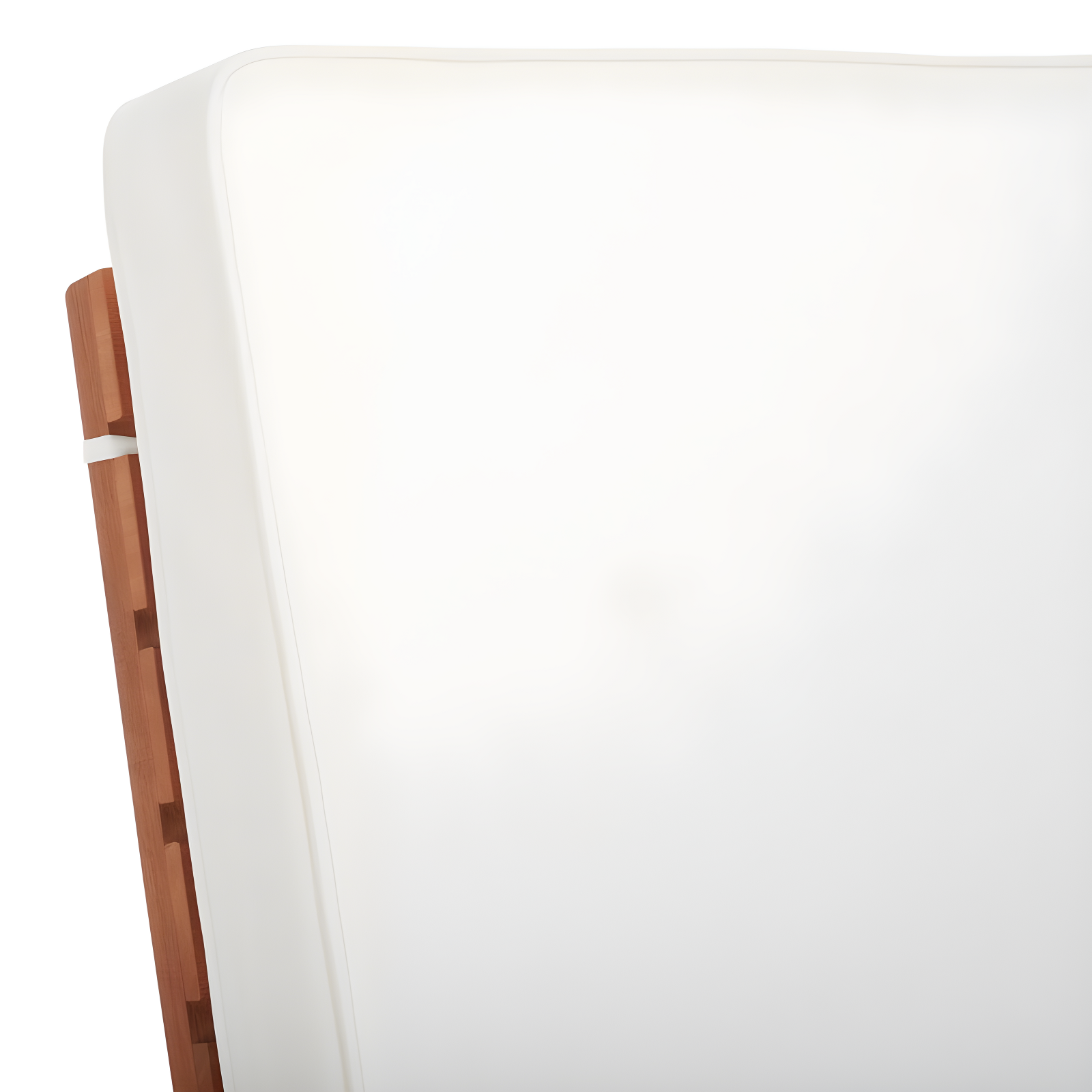 Newport Lounge Chair - Outdoor - PAT7022 - Natural/Beige -Safavieh