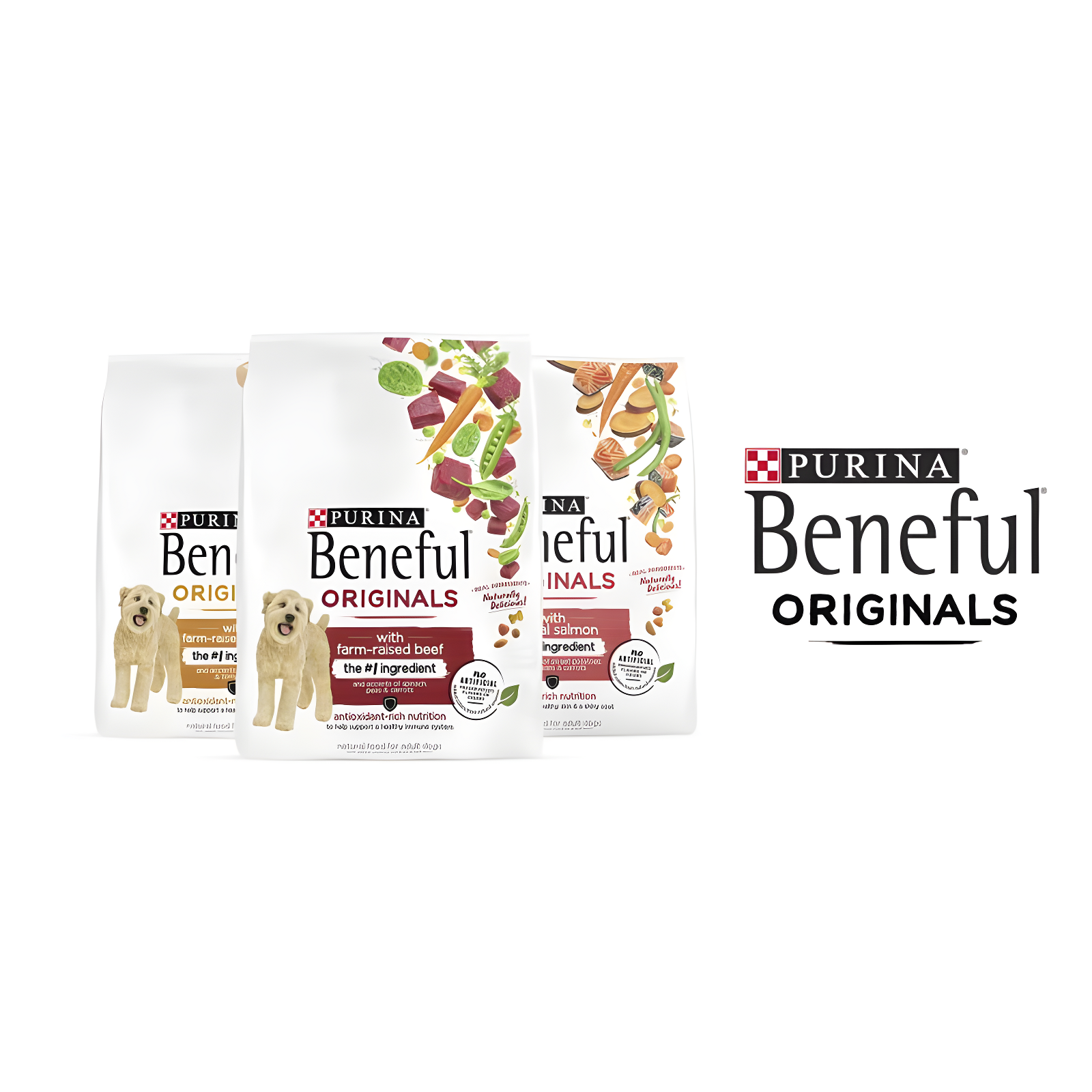 Purina Beneful Originals Real Beef Flavor Dry Dog Food - 3.5lbs