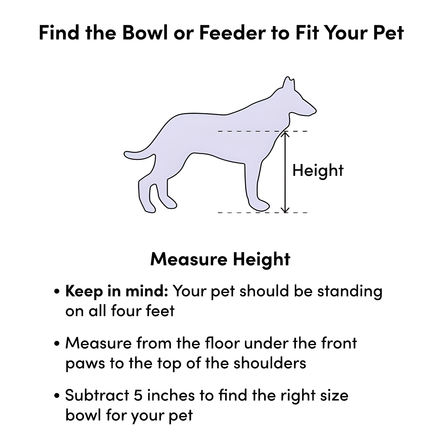 Dan Food Bowl