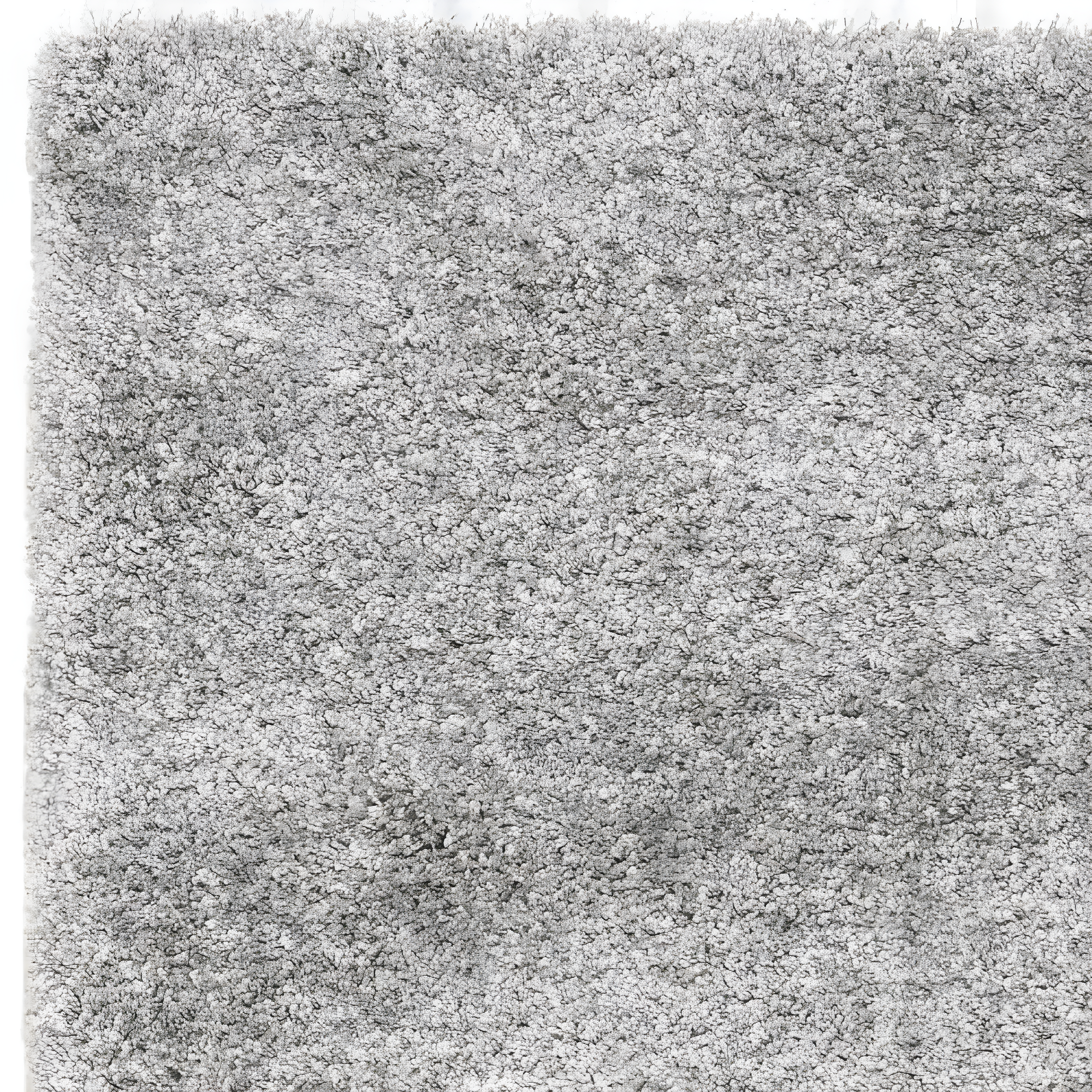 Shag SG151 Power Loomed Indoor Area Rug - Silver - 8'x10' - Safavieh.