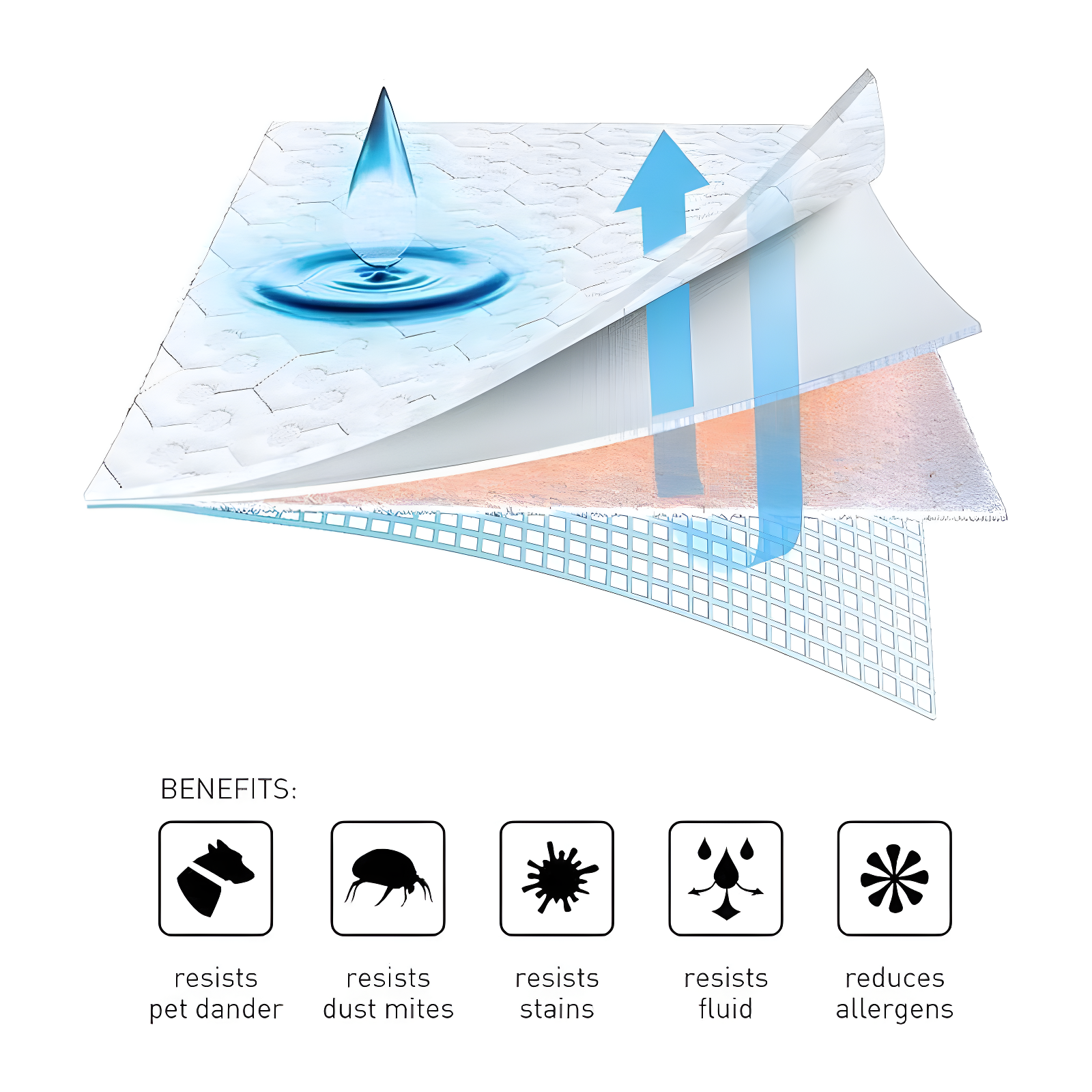 Bedgear Dri-Tec Waterproof Mattress Protector - Hypoallergenic - Noiseless and Washable