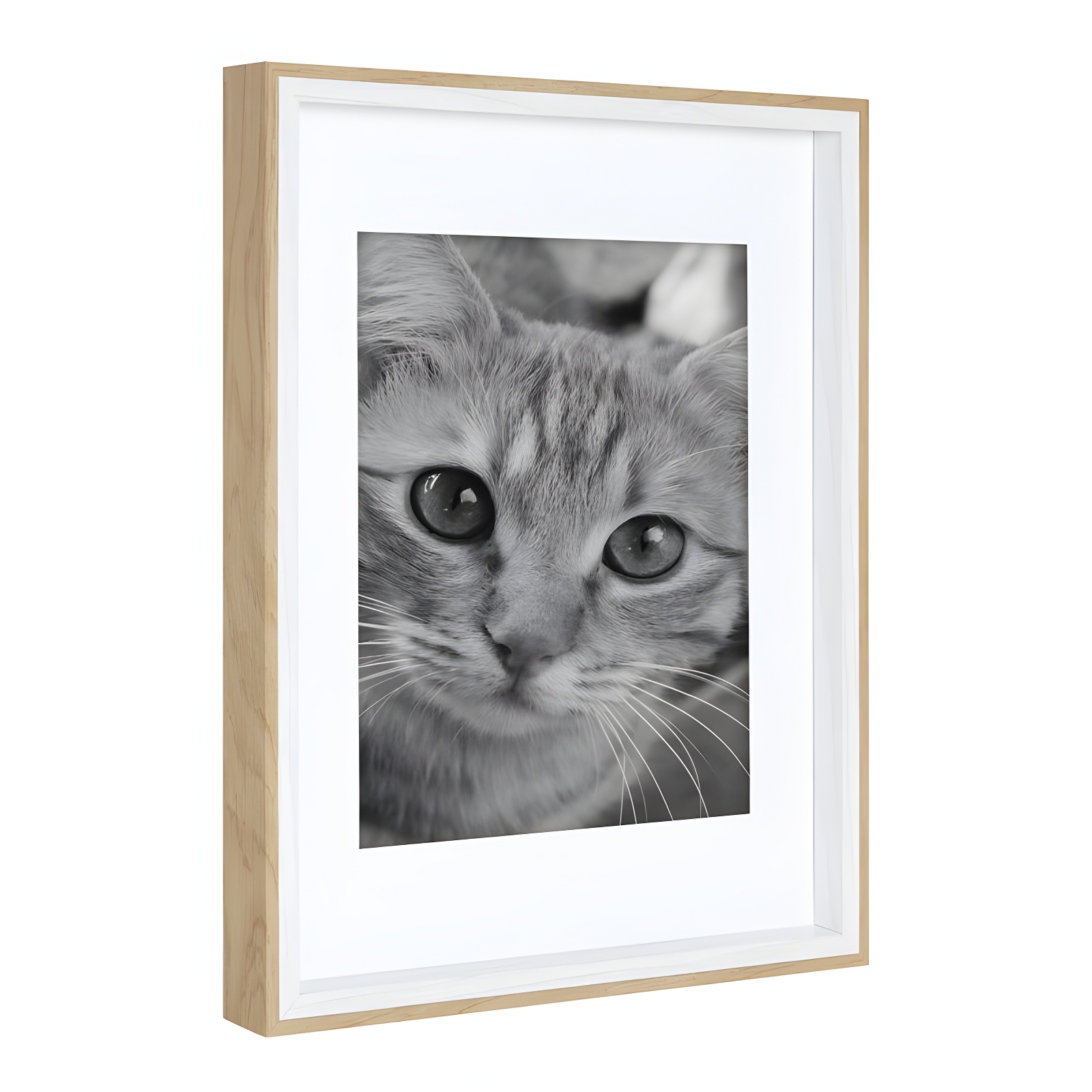 Emani Picture Frame - Set of 10 with Mat