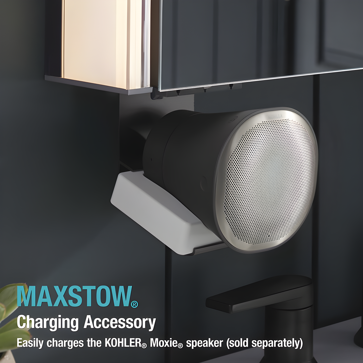 Kohler K-81144-SLE-DA1 Maxstow Surface Mount Frameless Medicine Cabinet with LED Lighting