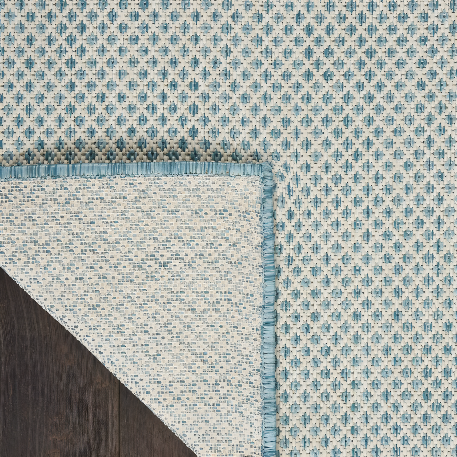 Nourison Courtyard COU01 Indoor/outdoor Area Rug - Ivory Aqua 3' x 5'