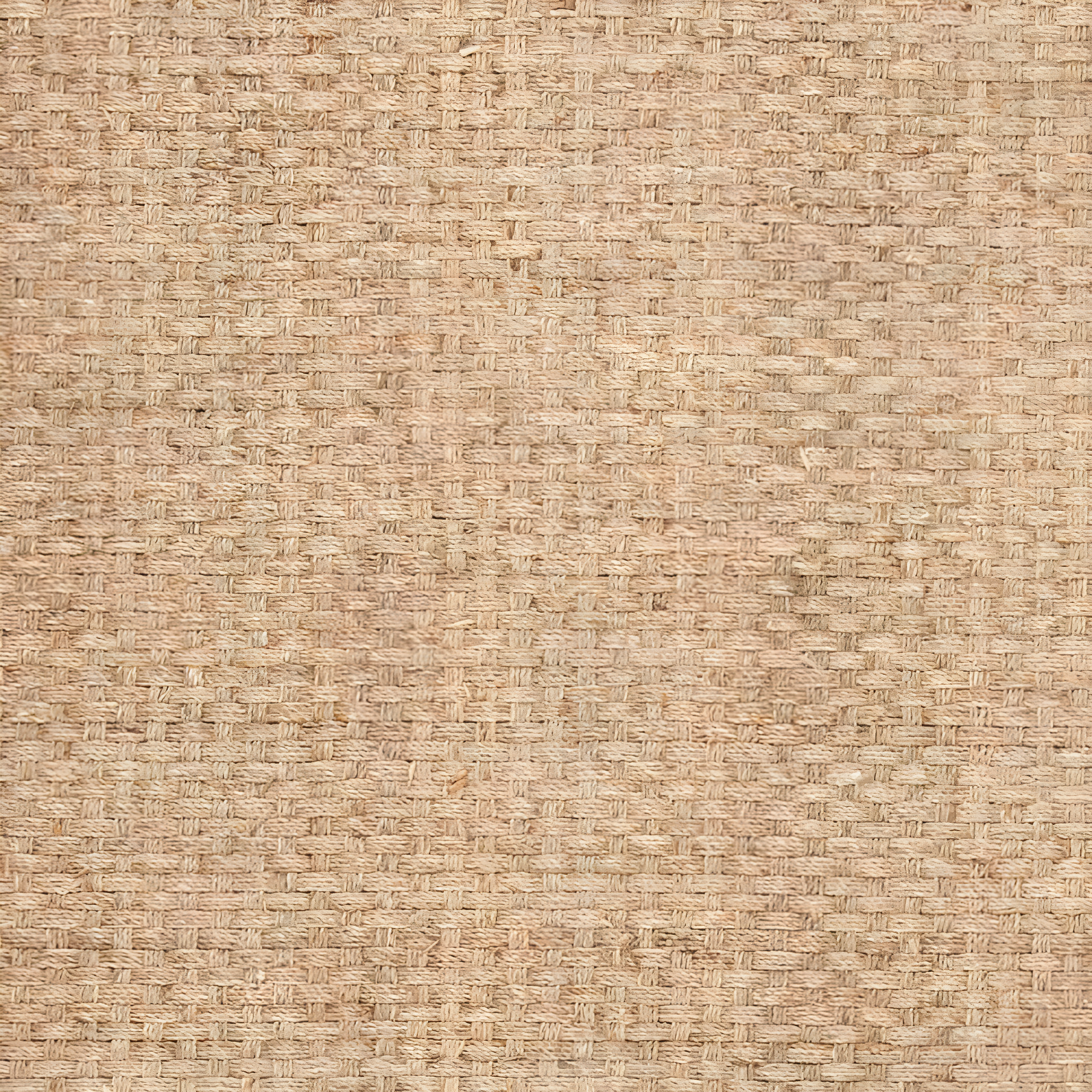Natural Fiber NF114 Power Loomed Area Rug - Natural/Black - 8'x10' - Safavieh.