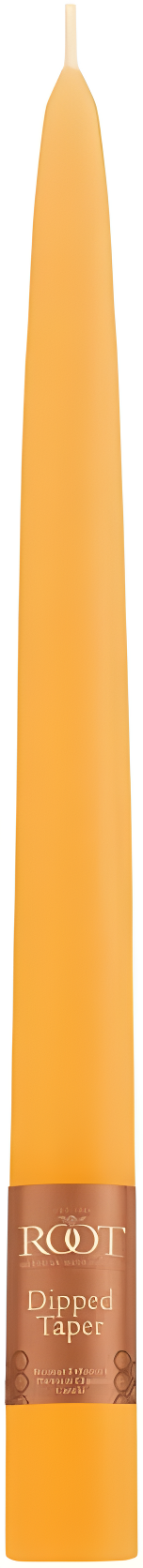 12 Piece Unscented Taper Candle Set