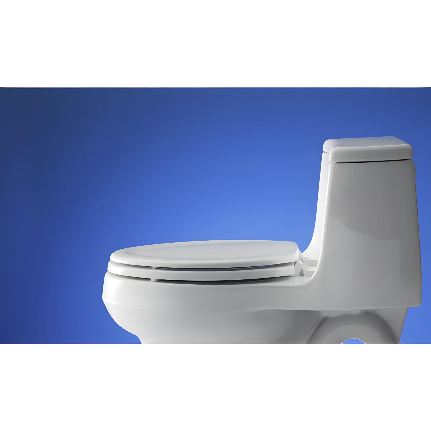 Stonewood Compression-Molded Wood Toilet Seat with Color-Matched Plastic Hinges