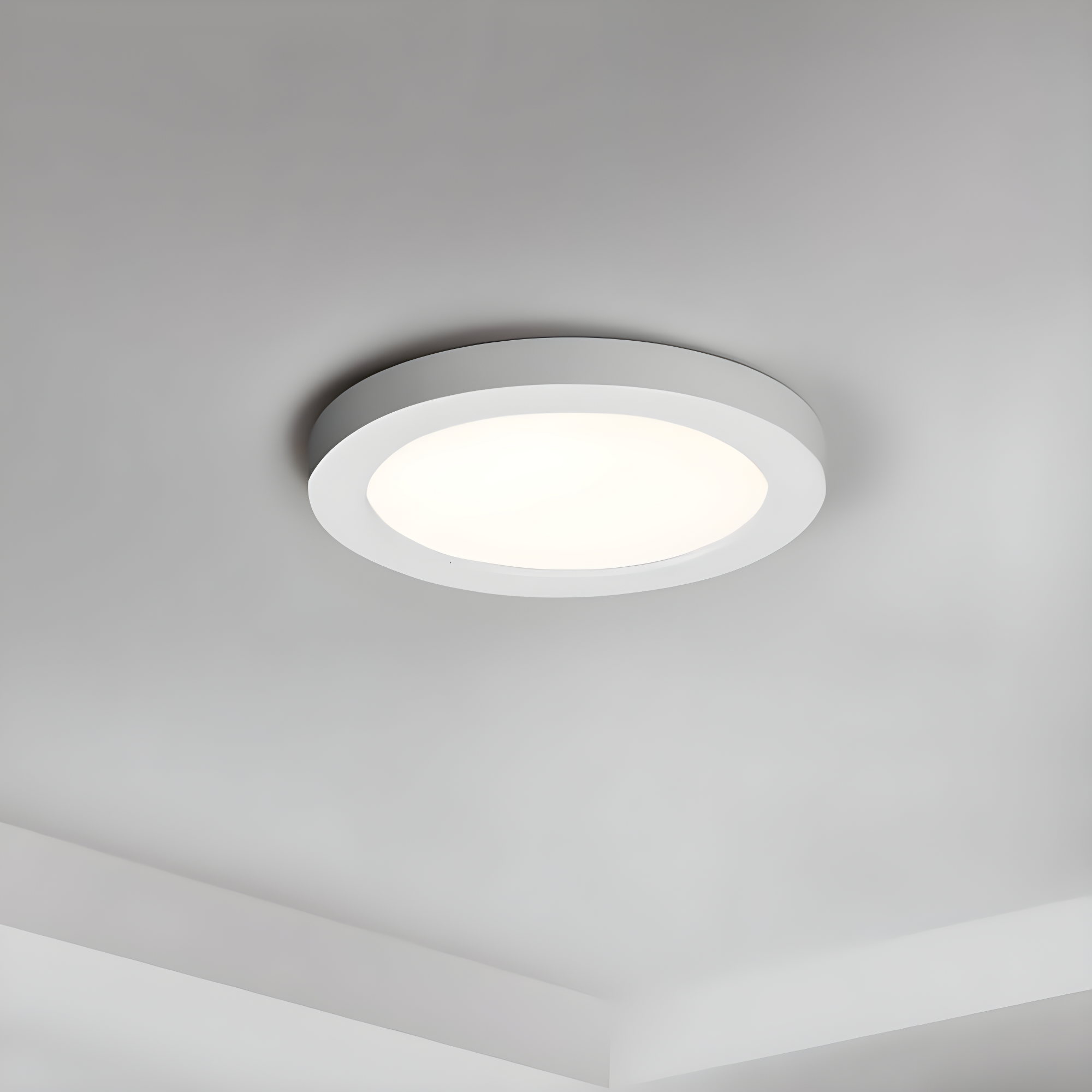 5 in. Chip White LED Flush Mount Ceiling Light