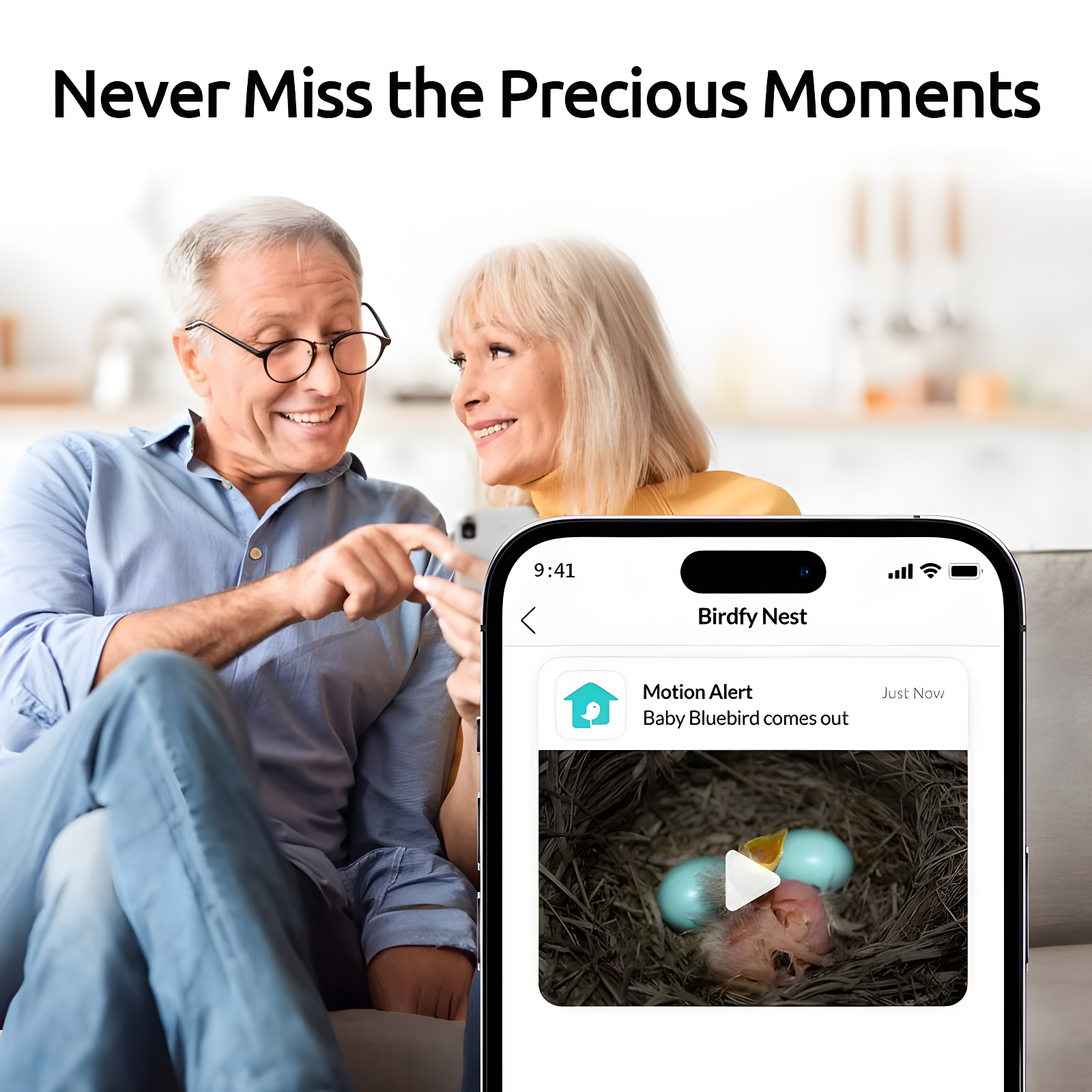 Birdfy NETVUE Birdfy Hummingbird Feeder with 2 Cameras Solar Powered - Dual Smart Cams, 2K HD Wireless for 2 Angels Close-up Bird Watching Outdoor, Instant Notifications (20Oz) (Hum Duo AI Solar)