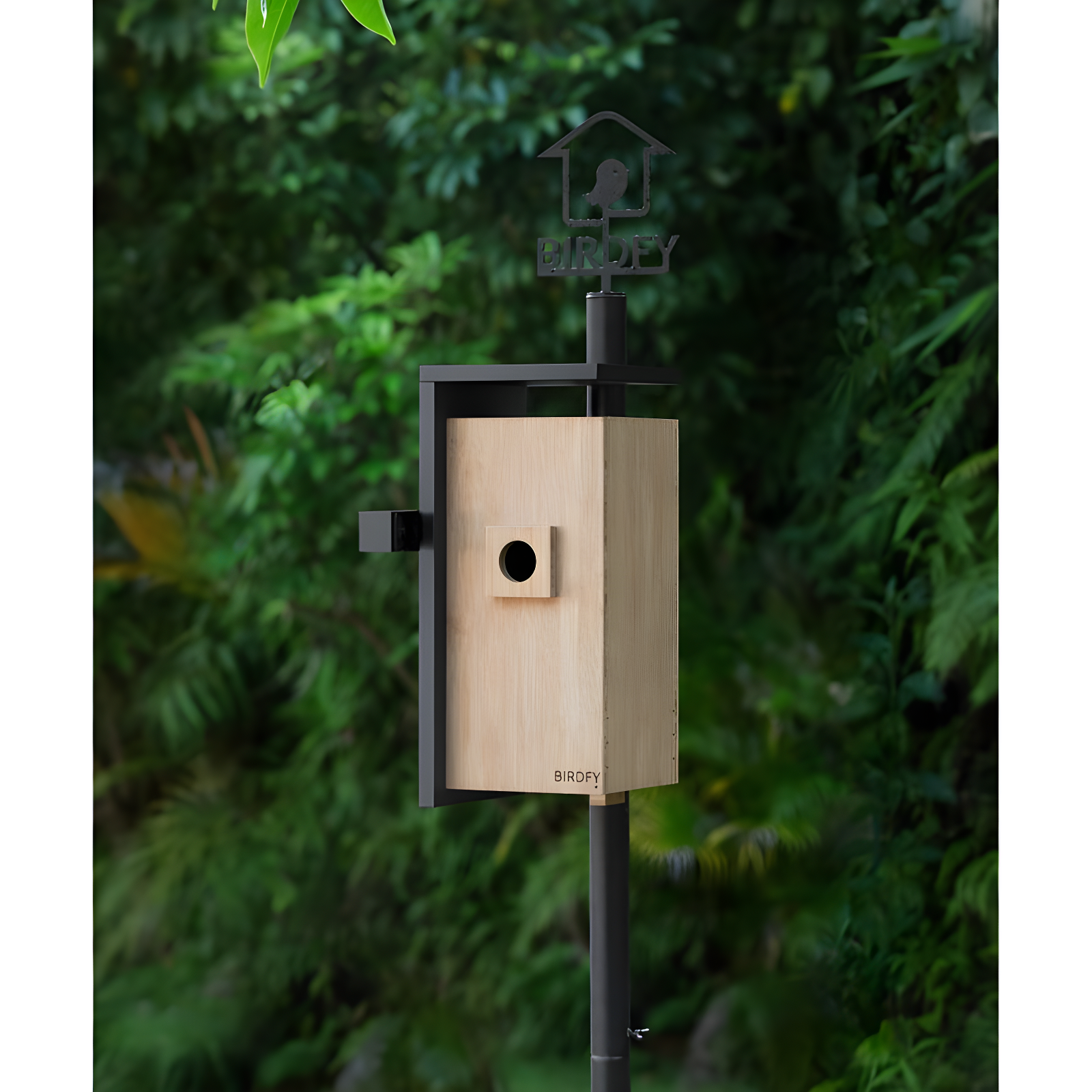 Birdfy NETVUE Birdfy Hummingbird Feeder with 2 Cameras Solar Powered - Dual Smart Cams, 2K HD Wireless for 2 Angels Close-up Bird Watching Outdoor, Instant Notifications (20Oz) (Hum Duo AI Solar)