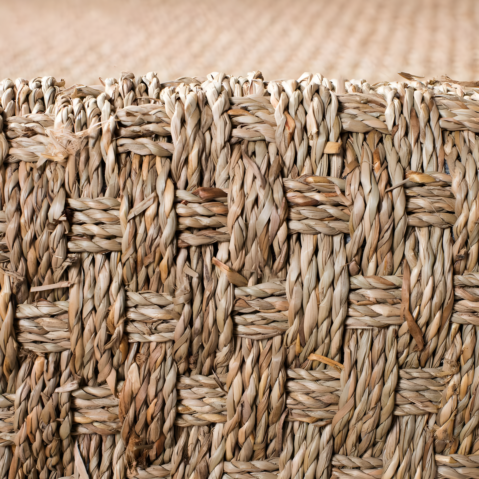 Natural Fiber NF114 Power Loomed Indoor Area Rug - Natural/Dark Brown - 4'x6' - Safavieh.