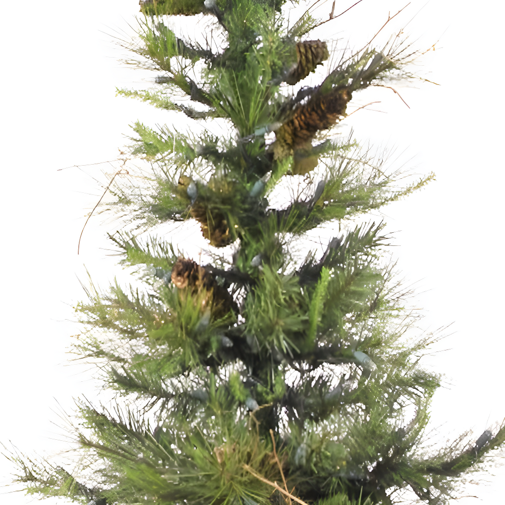 Ashland Fir Tree Ashland Fir Artificial Christmas Tree